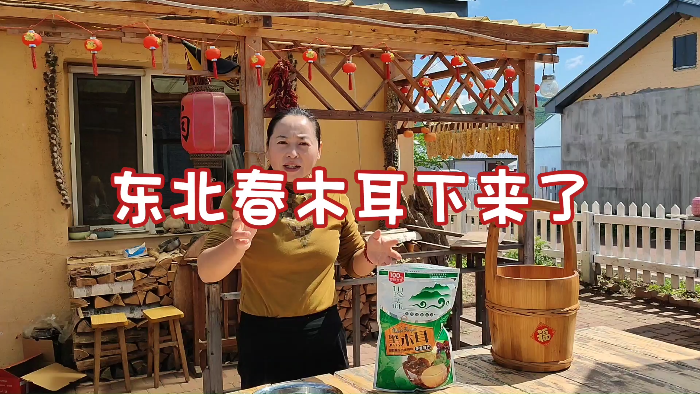 黑龙江春季新木耳下来了,翠花安排木耳炒白菜,美味又营养