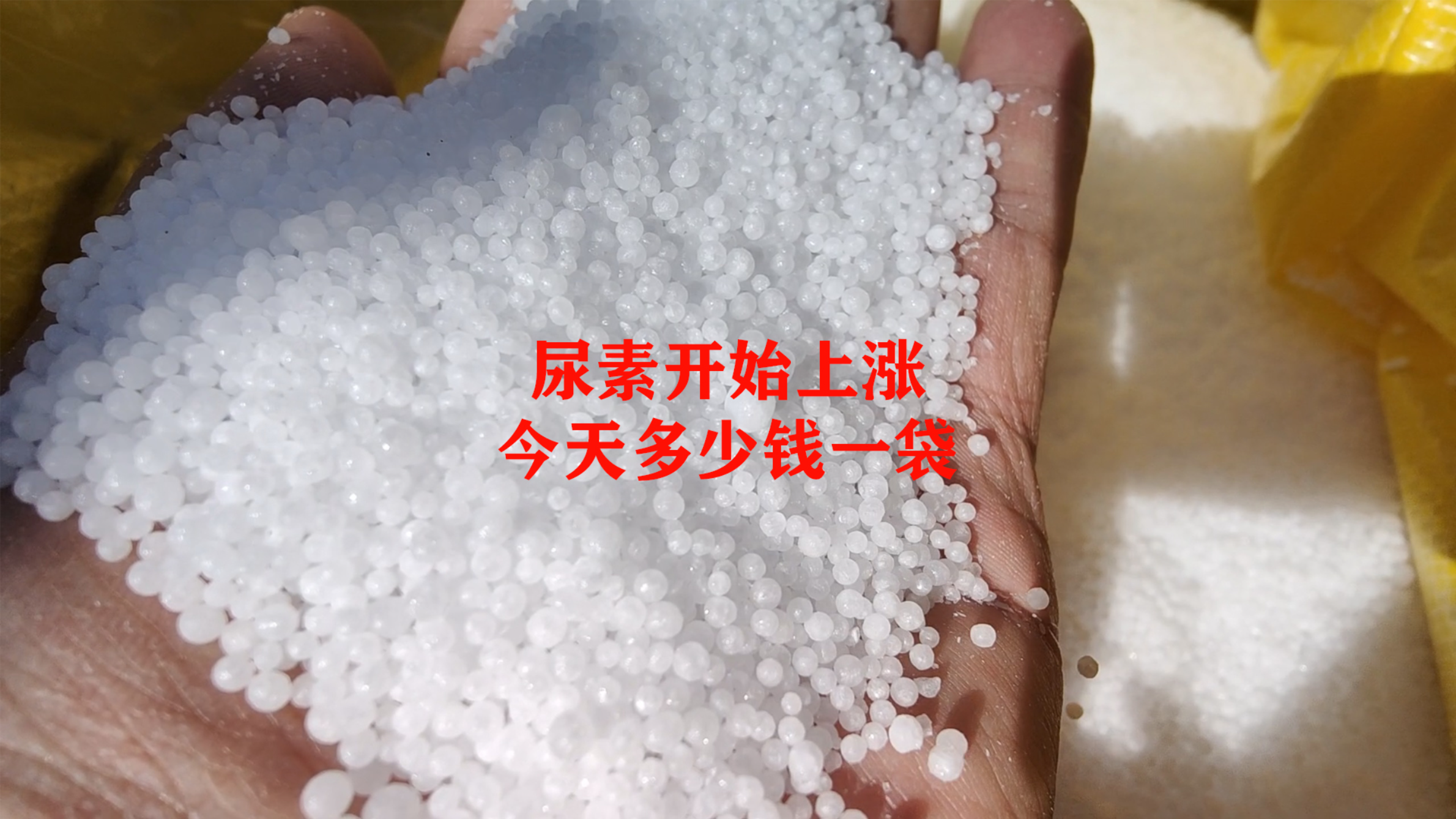 尿素价格开始上涨,看看一吨涨多少,零售价又是多少钱