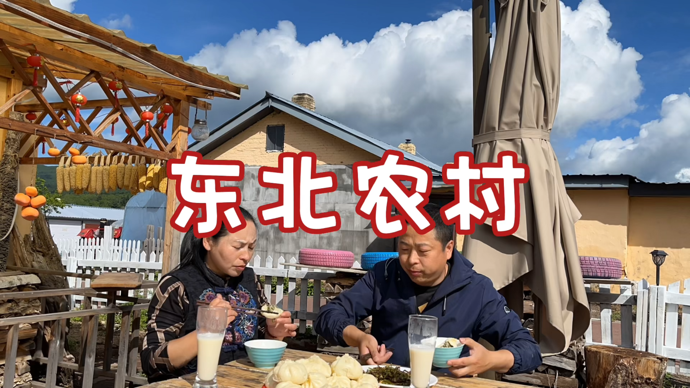 东北农村生活,闲来上山采野菜,10几分钟采一捆,回家做菜真香