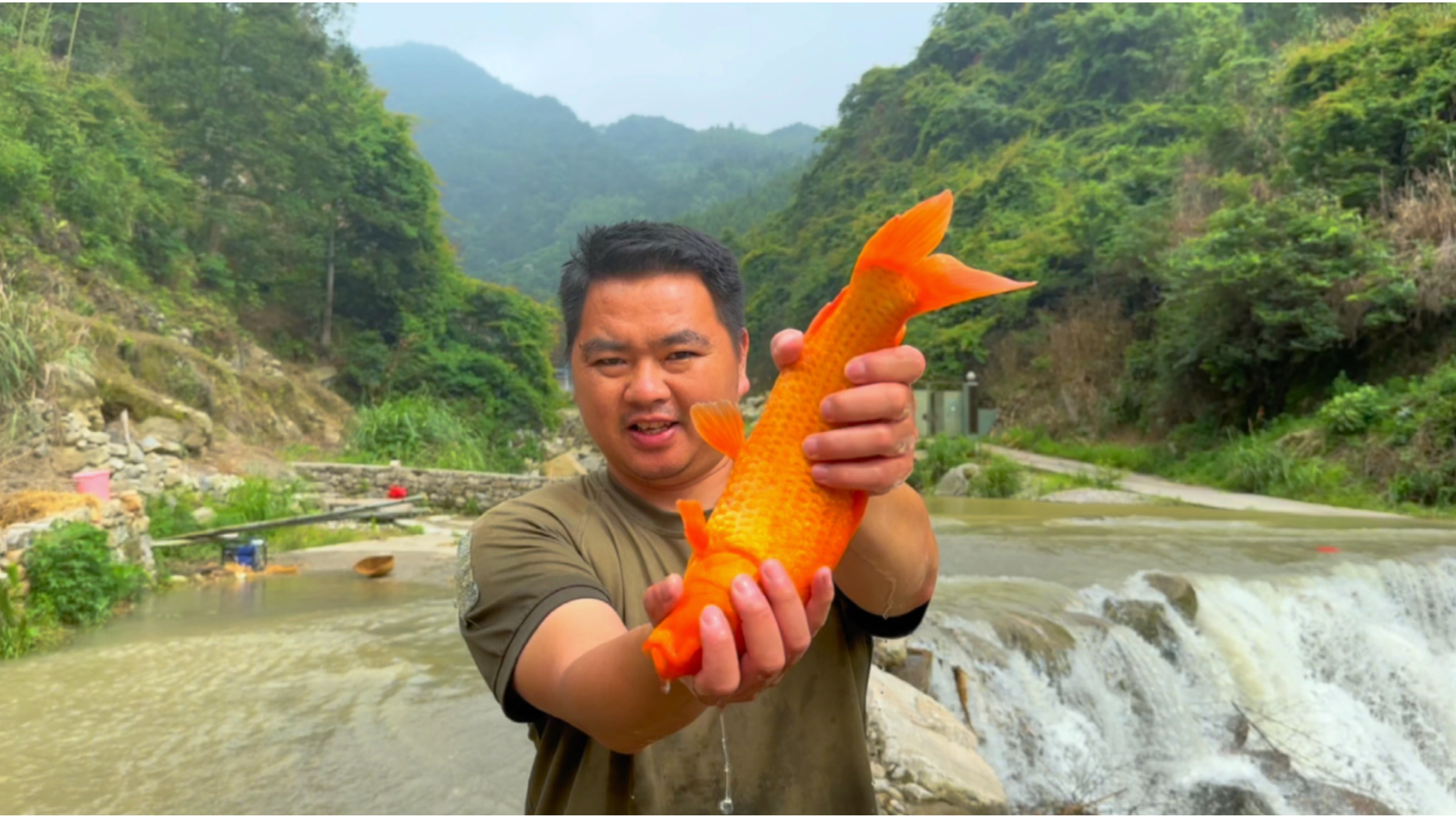 洪水过后在一个野塘里抽水捉鱼,收获一条红鲤鱼和很多七星鱼