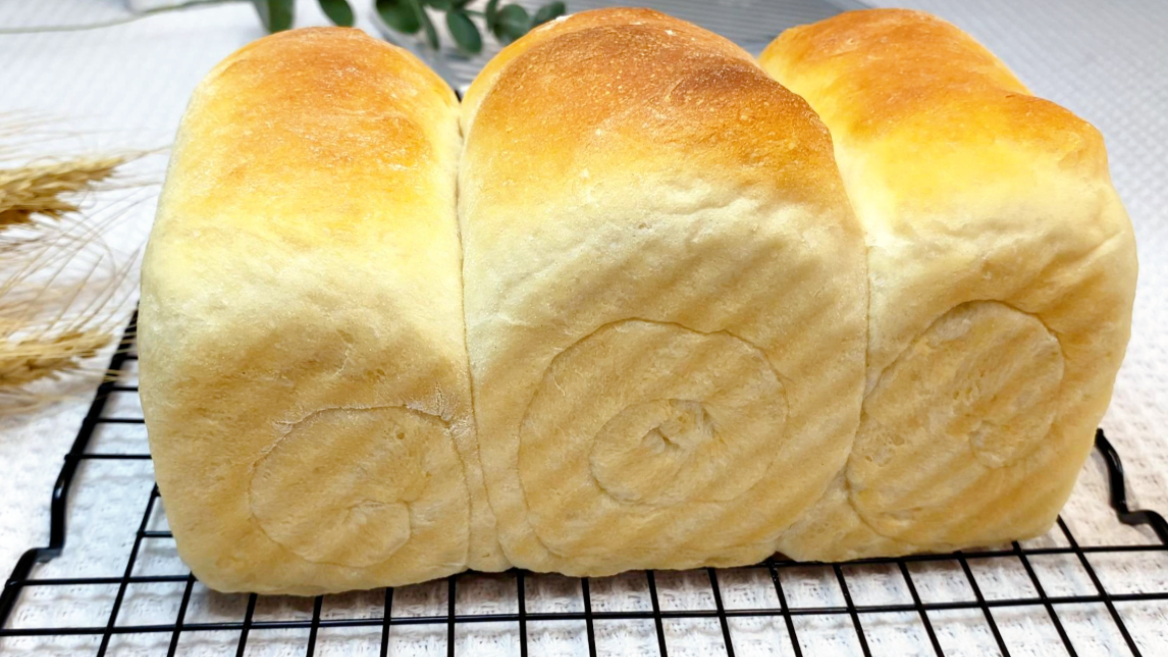最简单和最便宜的面包食谱,没有鸡蛋,没有黄油,没有厨师机