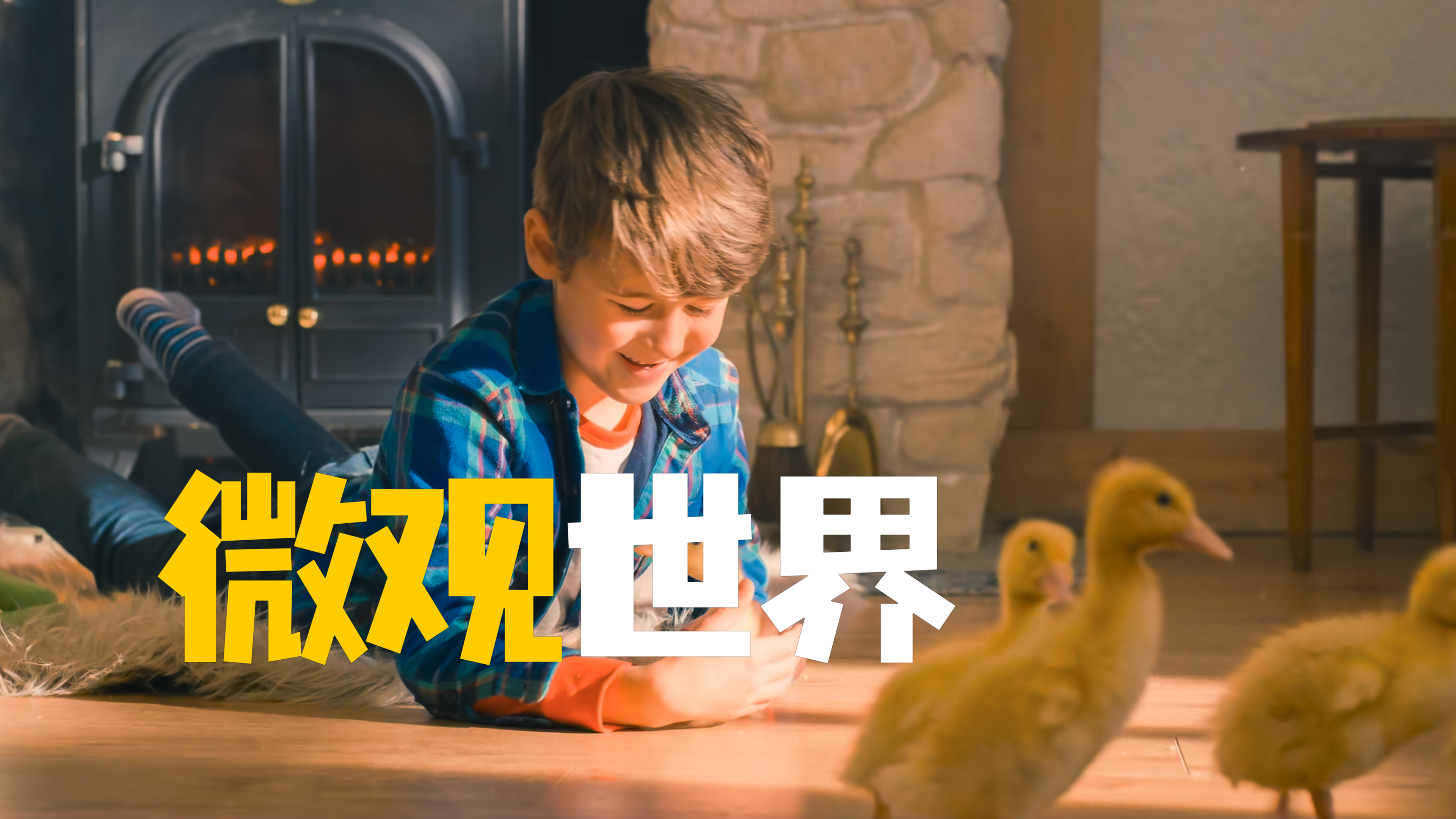 爸爸发现了男孩的秘密 强制送走了小黄鸭《微观世界》