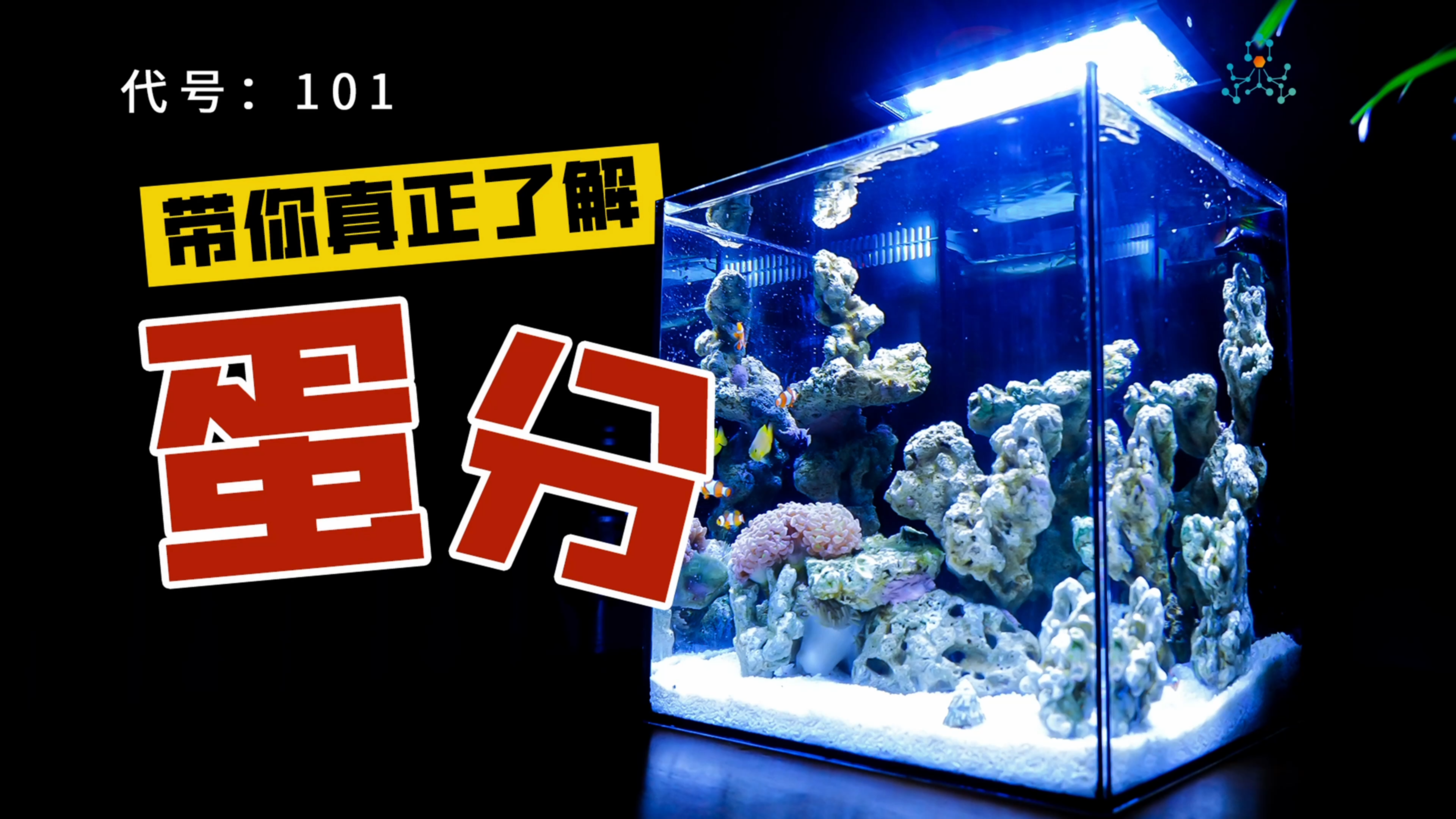 海缸用户必看!想下海还要了解清楚蛋分~