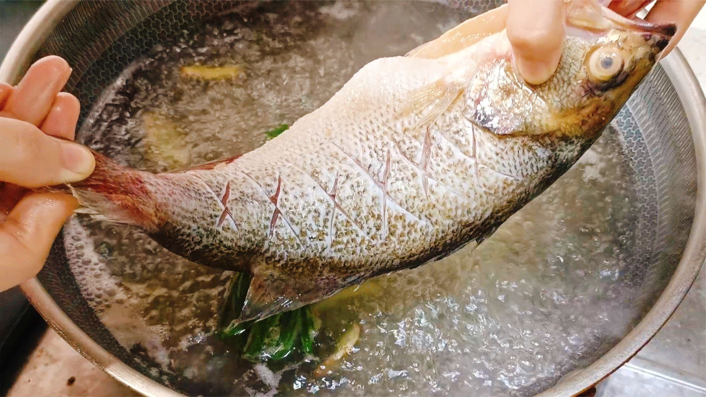 把鲈鱼放进滚烫的开水中，出锅瞬间变成一道经典美食，太解馋了