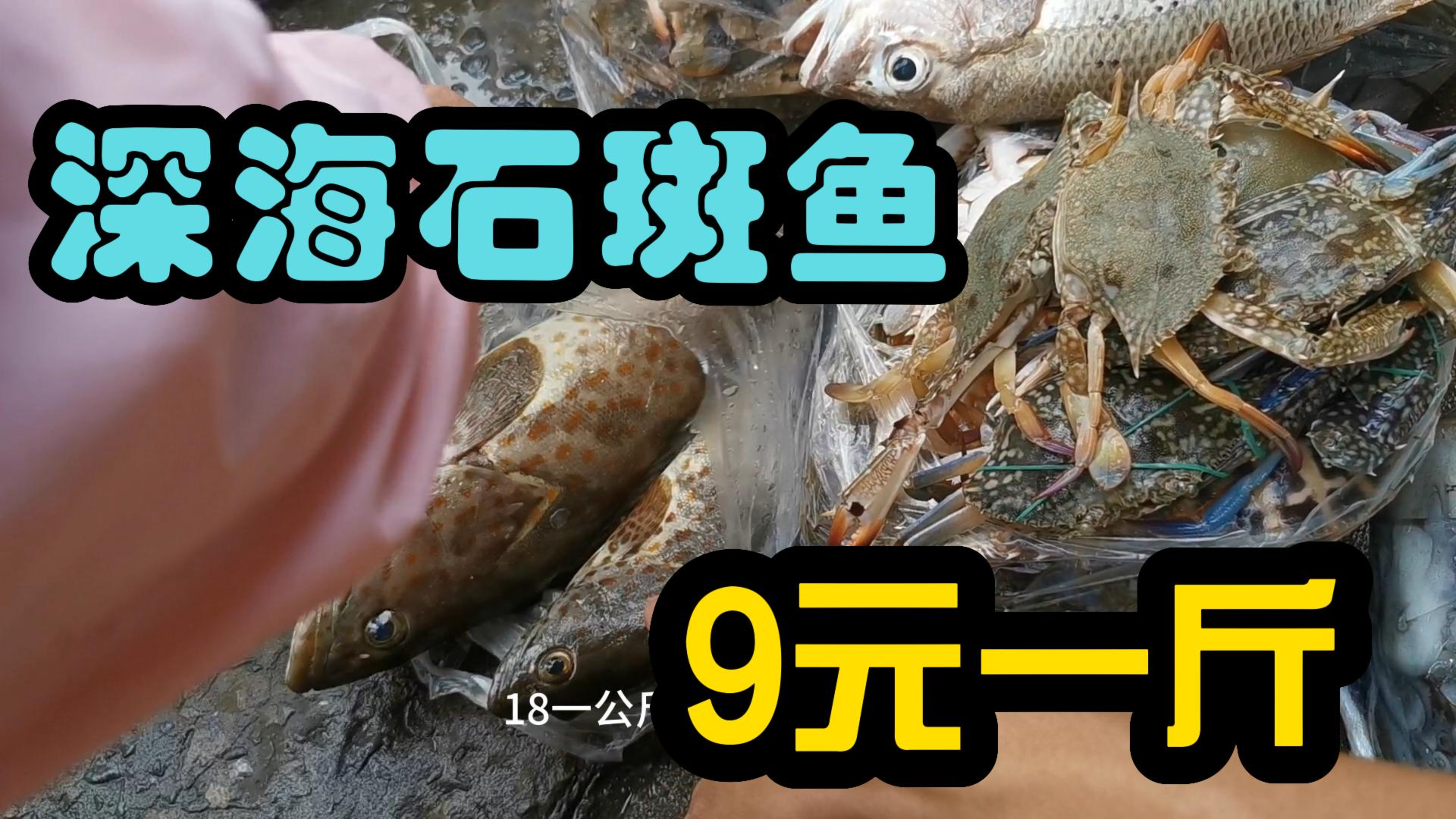 马来西亚的农贸市场,海鲜很便宜