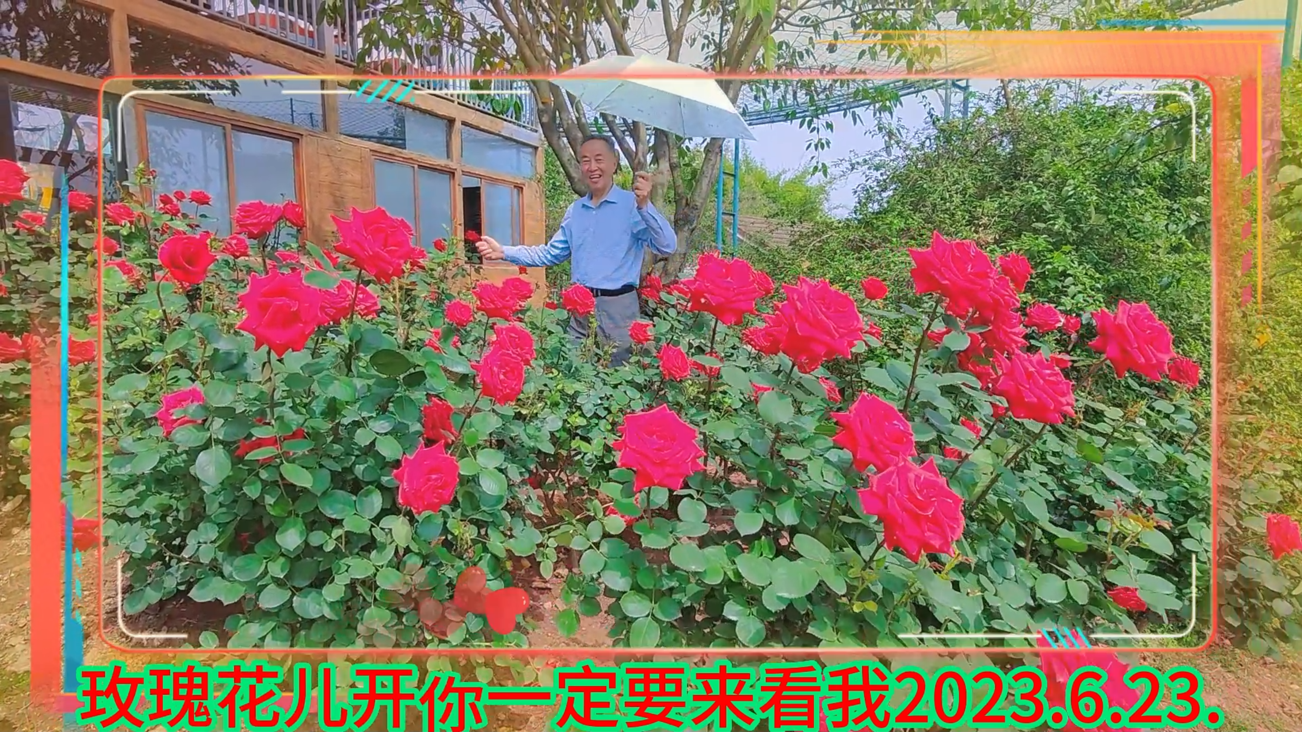 成都市快乐花棍队视频玫瑰花儿开你一定要来看我2023.6.23.