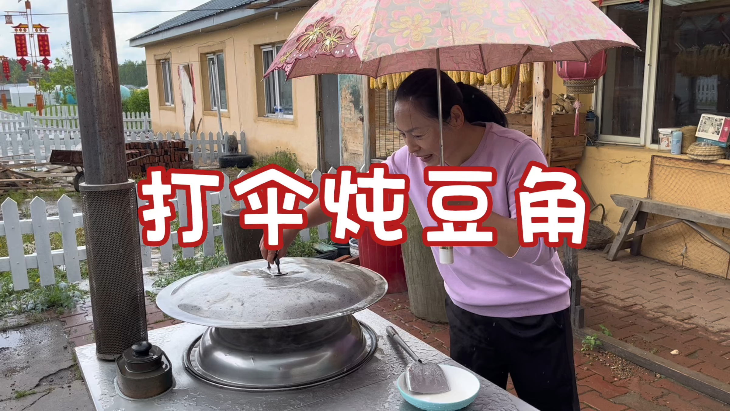 东北农村生活,翠花又做起包豆角,下雨打伞也要做完,能成功吗