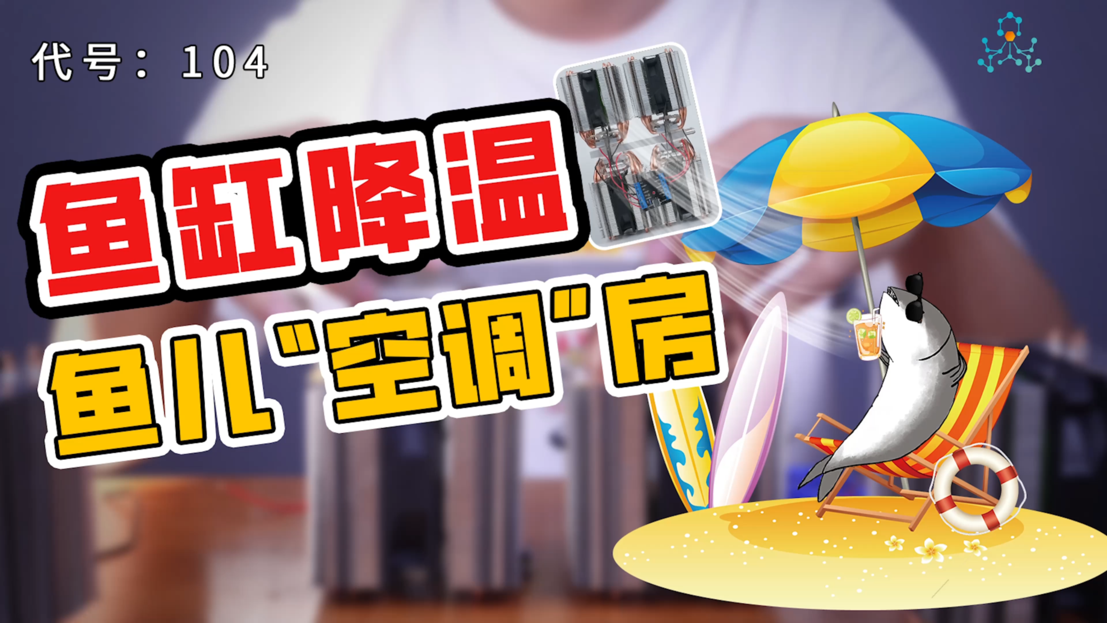 多地方40°高温预警!观赏鱼降温刻不容缓~教你自制半导体制冷机~