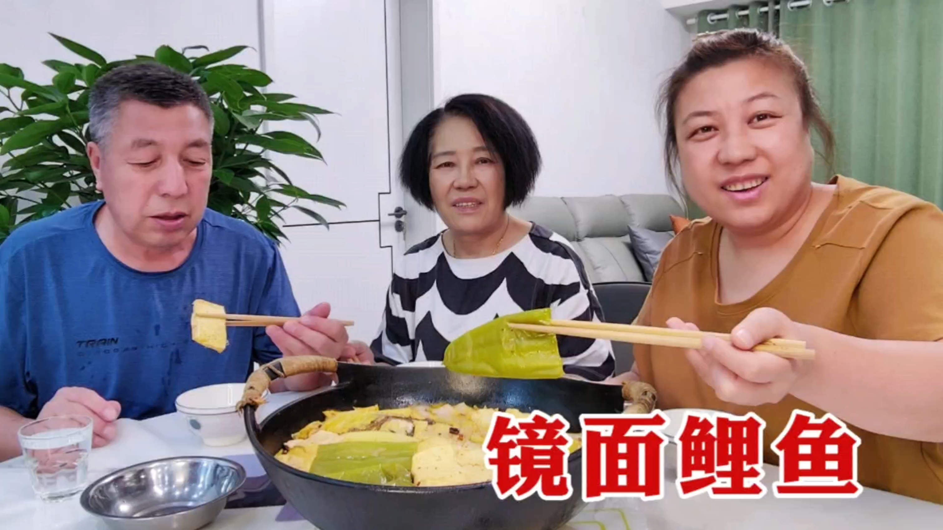 老爸买条3斤大鱼,放白菜豆腐一锅炖,家常铁锅炖鱼,杠杠好吃
