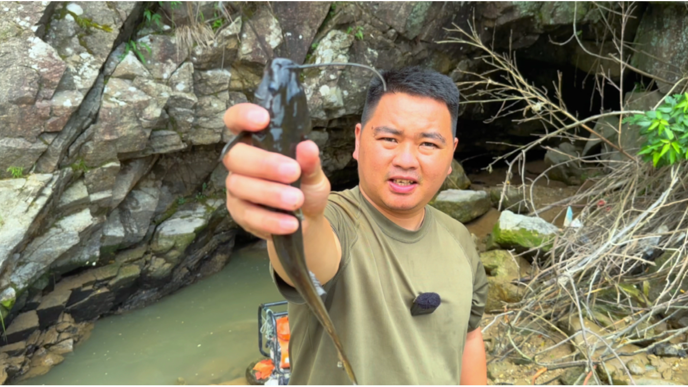 今天捉到一条怪鱼，它的尾部很像牛尾巴，你们认识这种鱼吗？