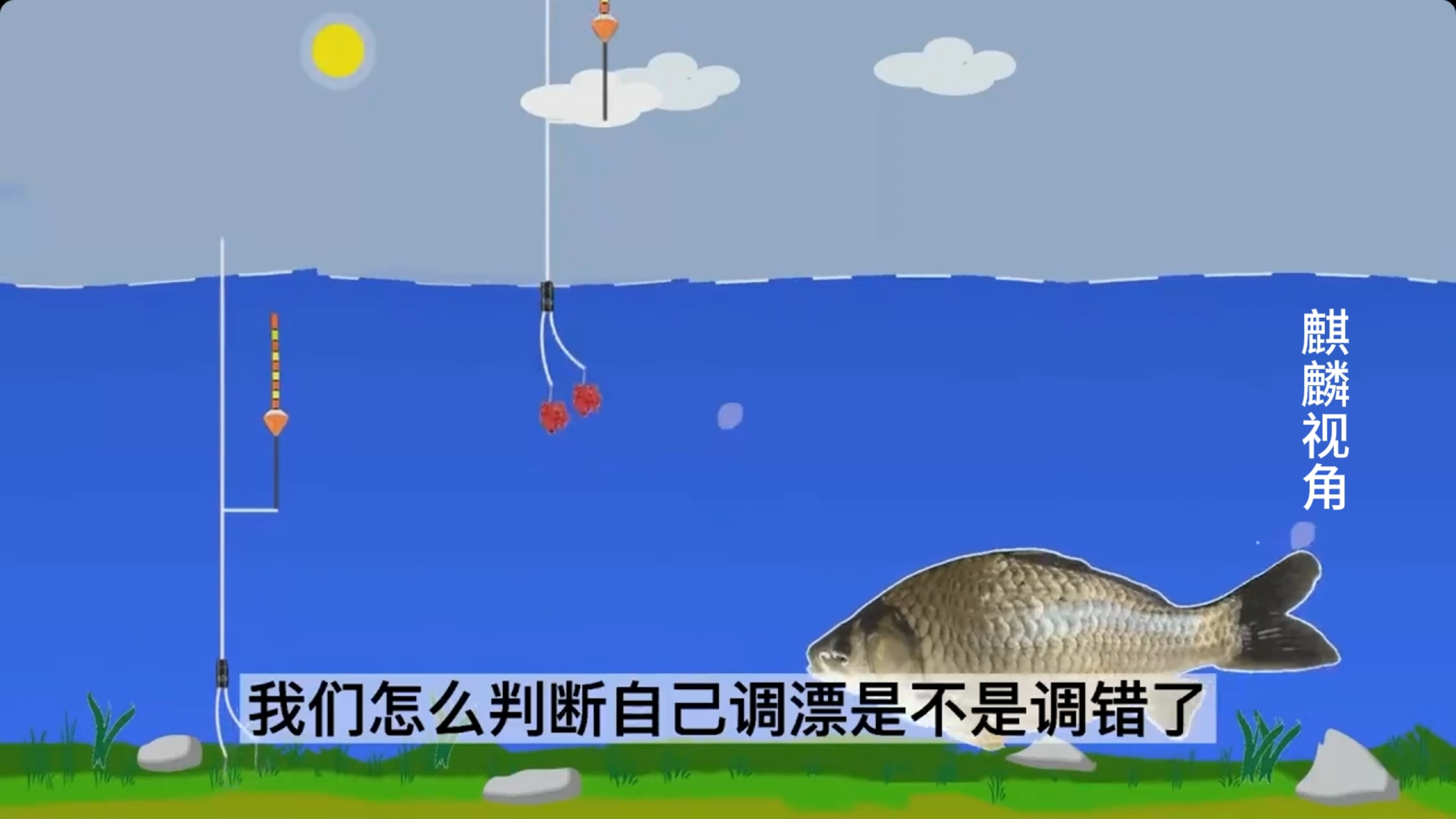 钓鱼动画:怎样根据中钩位置判断调漂是否正确?老是锚鱼怎么办?