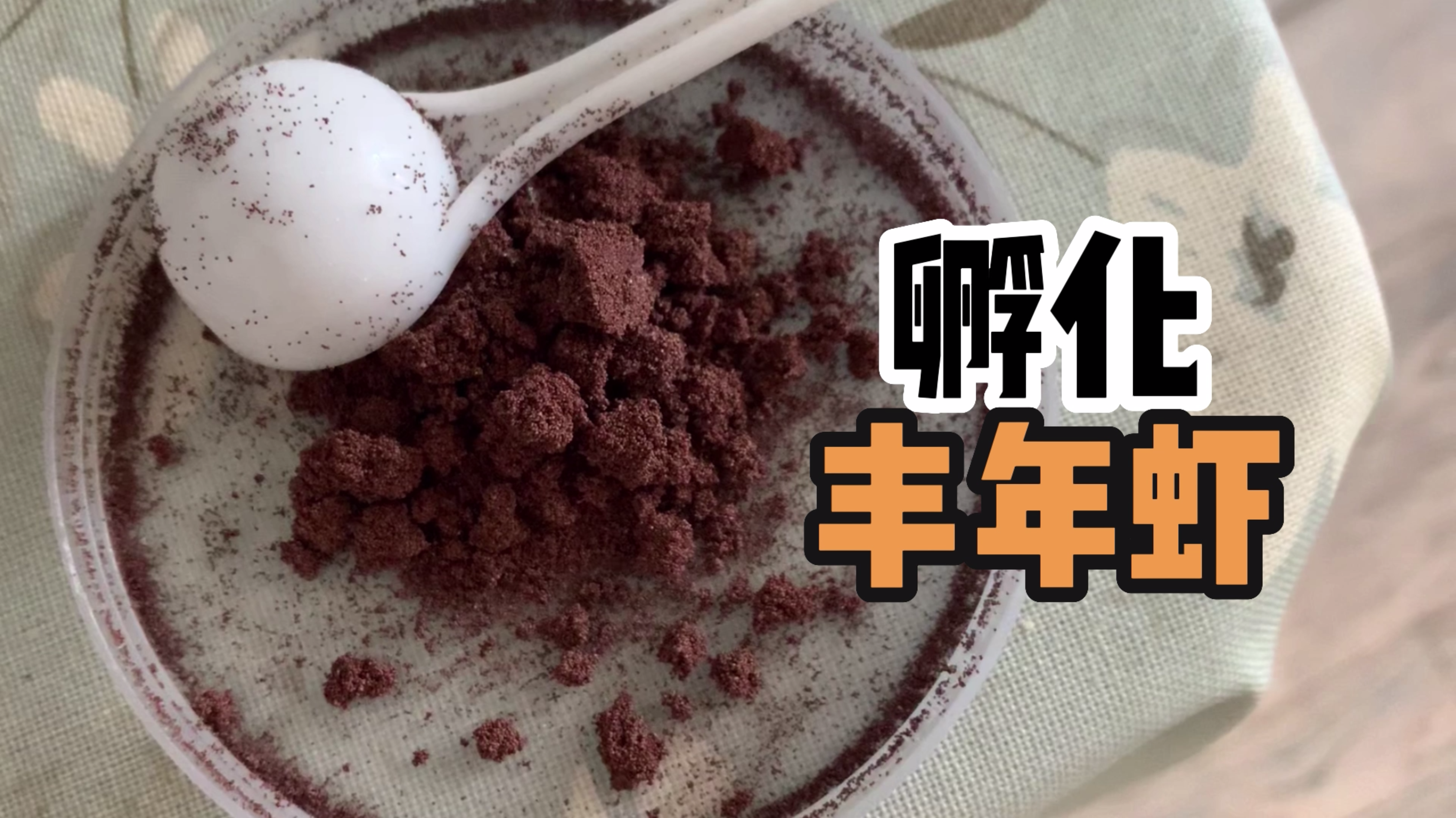 不同季节丰年虾孵化多久?水可以重复用么?卵静置多久?