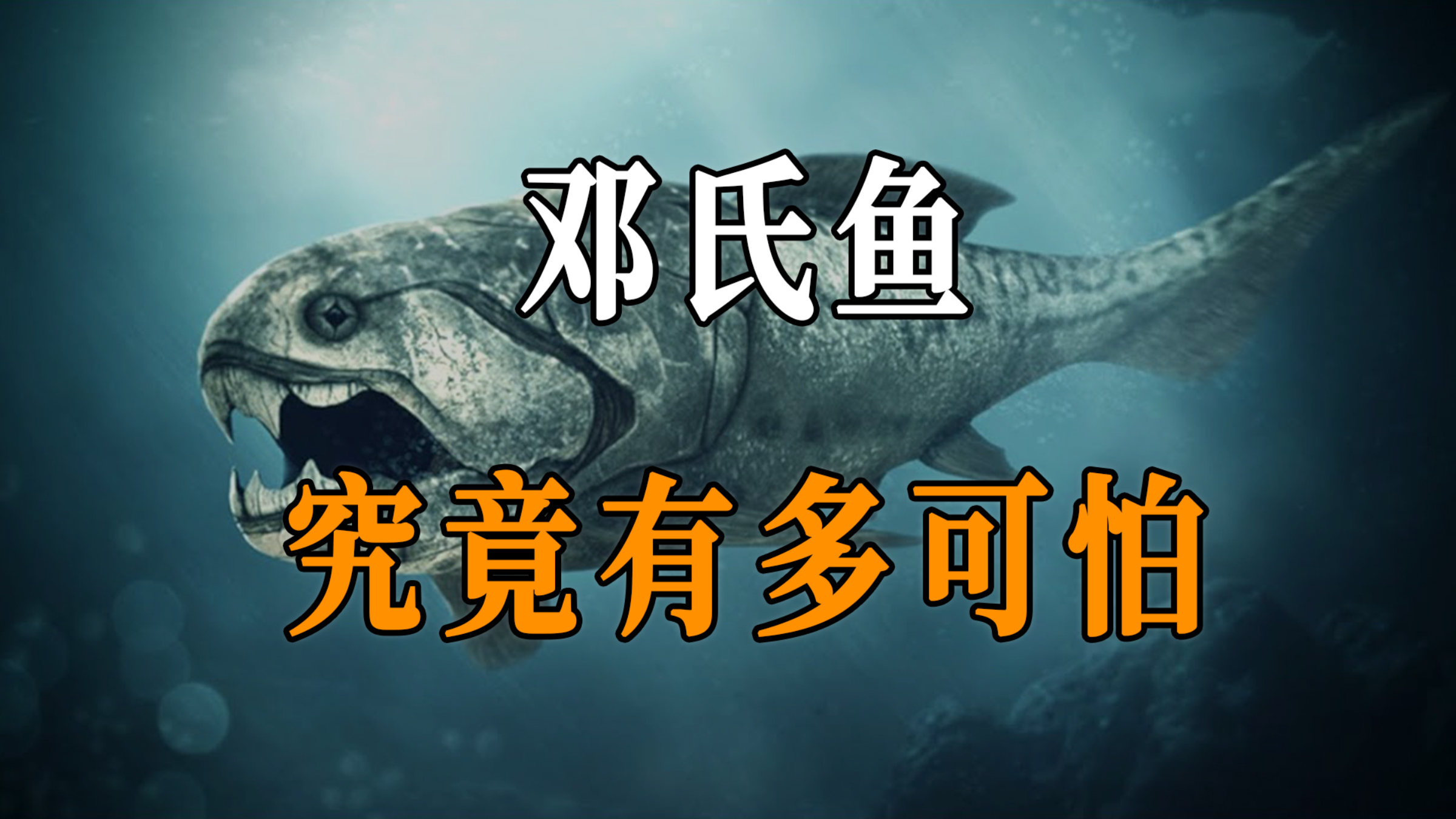 一口咬断鲨鱼,能轻松咬碎石头,海洋霸主邓氏鱼,到底有多厉害?