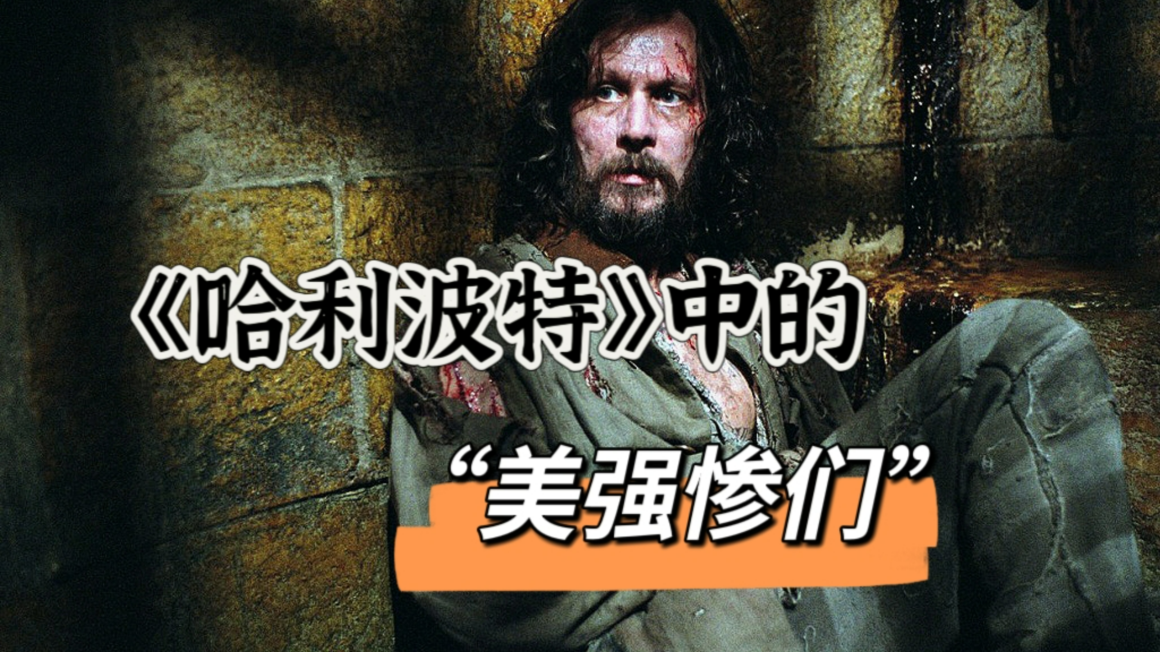 《哈利·波特》|说起魔法世界中的“美强惨”,大家会想到谁呢?