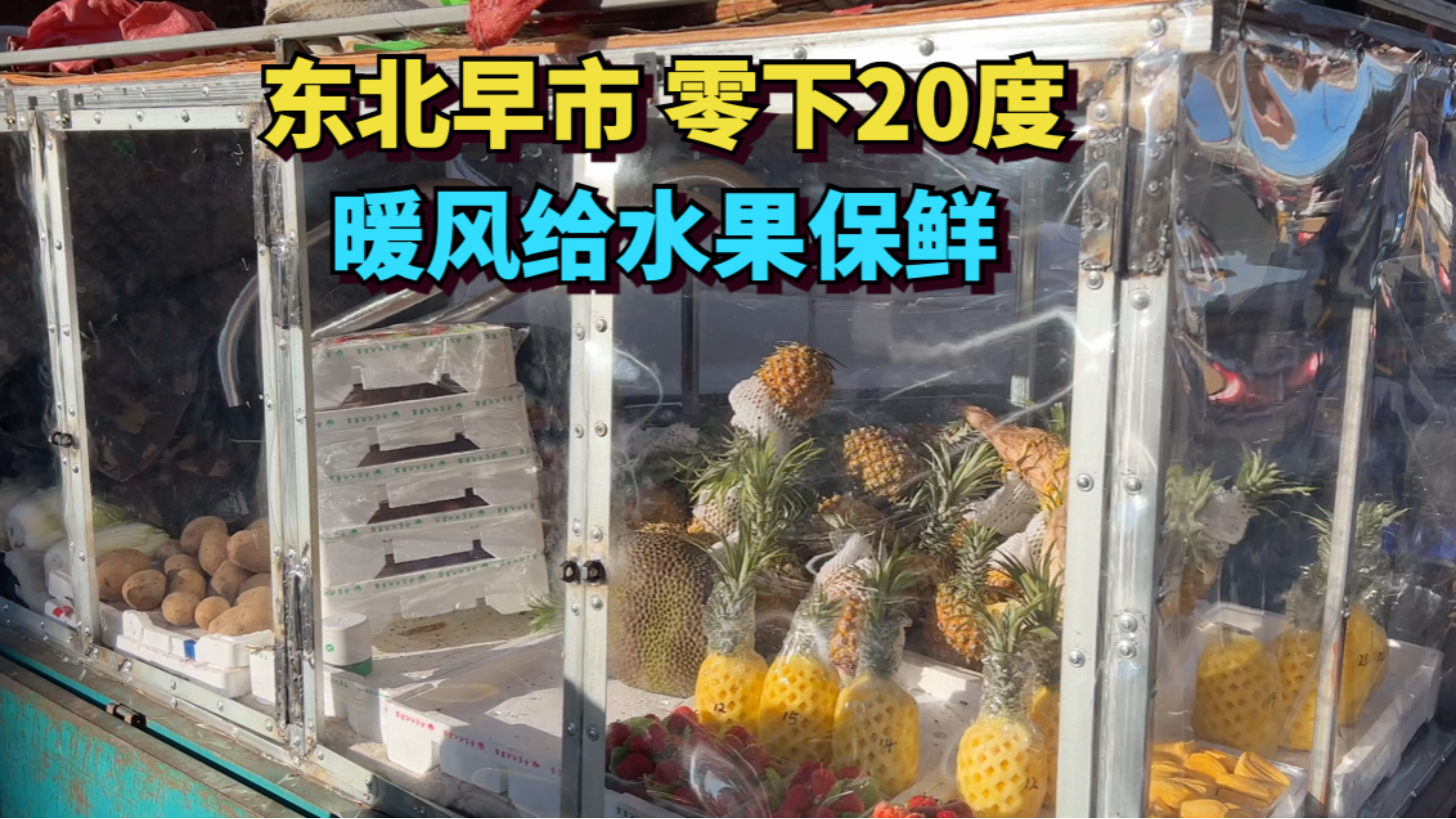 中国东北早市,零下20度,当地人用暖风给蔬菜水果保鲜