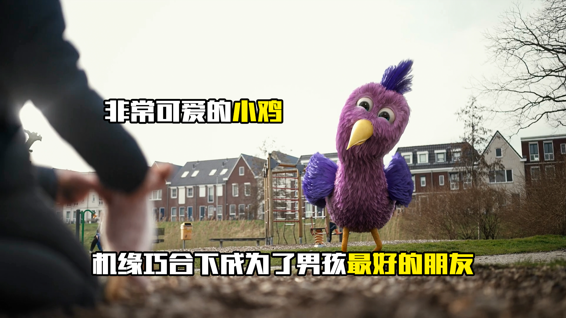《可爱小鸡》十分可爱的小鸡你也想拥有一只吗