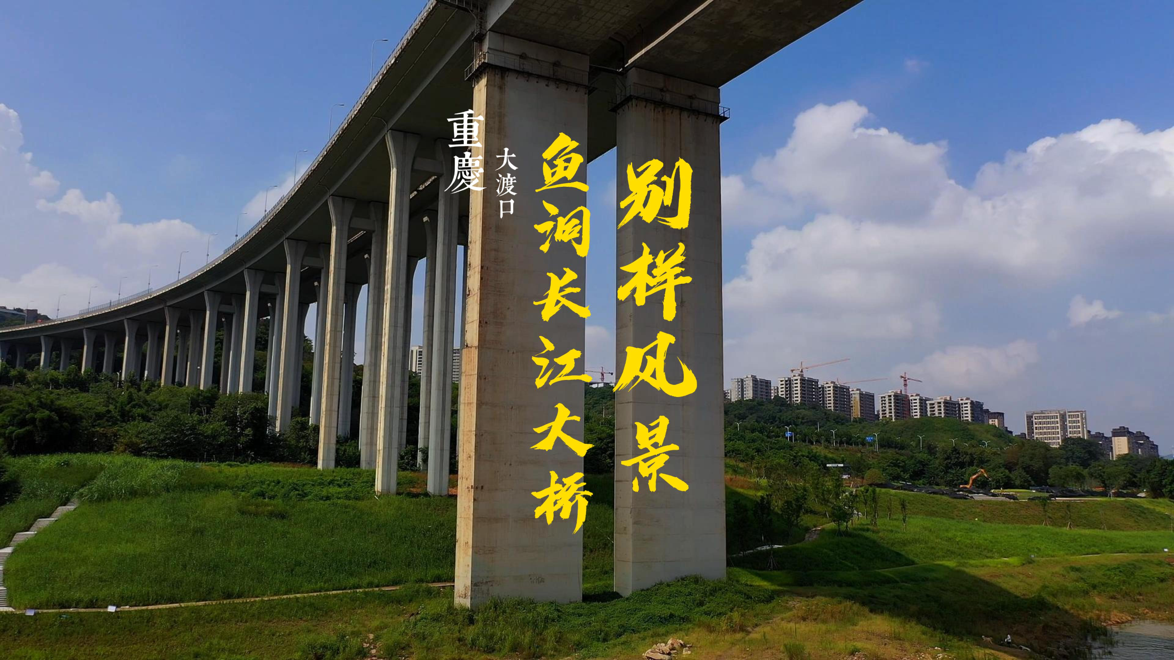 航拍视角下的鱼洞长江大桥呈现出别样的风景