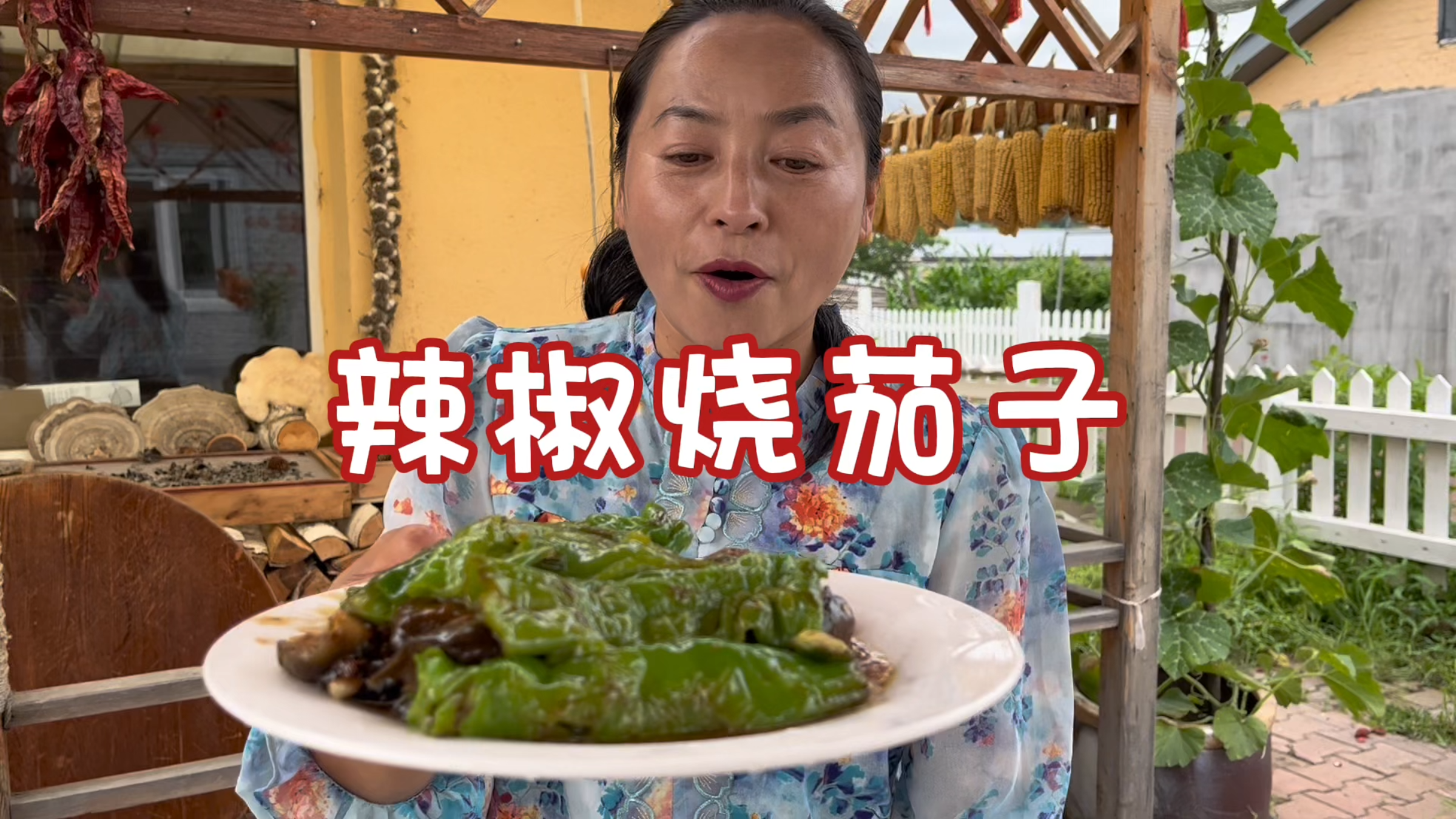 东北农村美食,茄子的100种吃法,辣椒烧茄子,真下饭