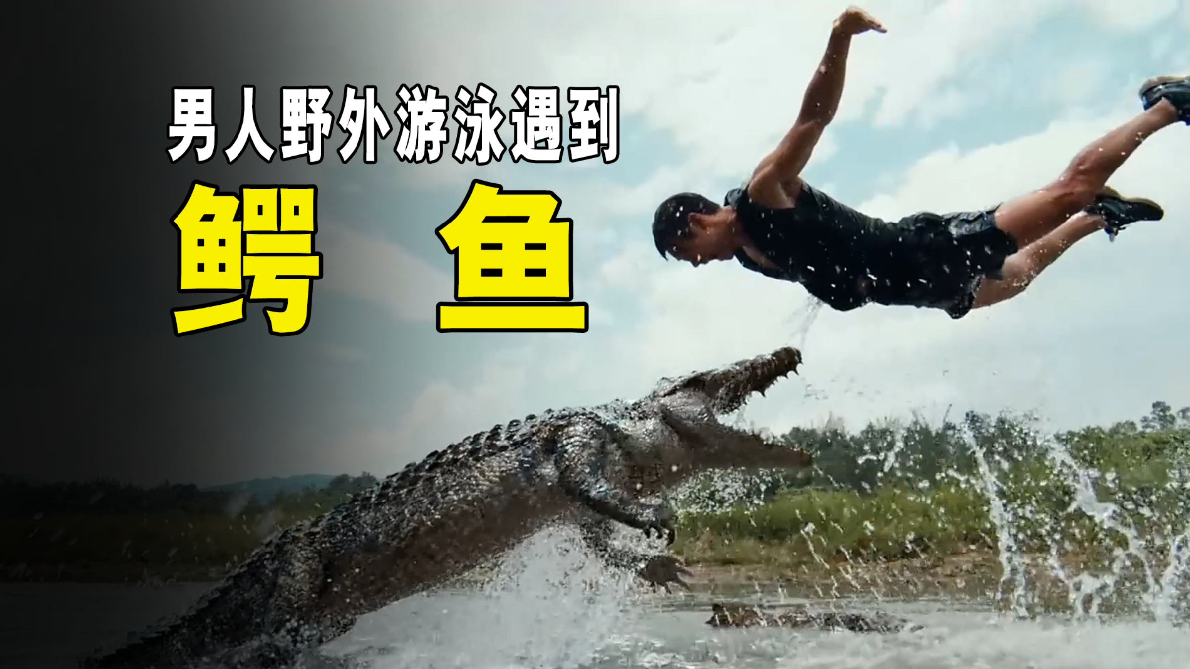 男人去野外游泳，不料遭到鳄鱼的攻击！