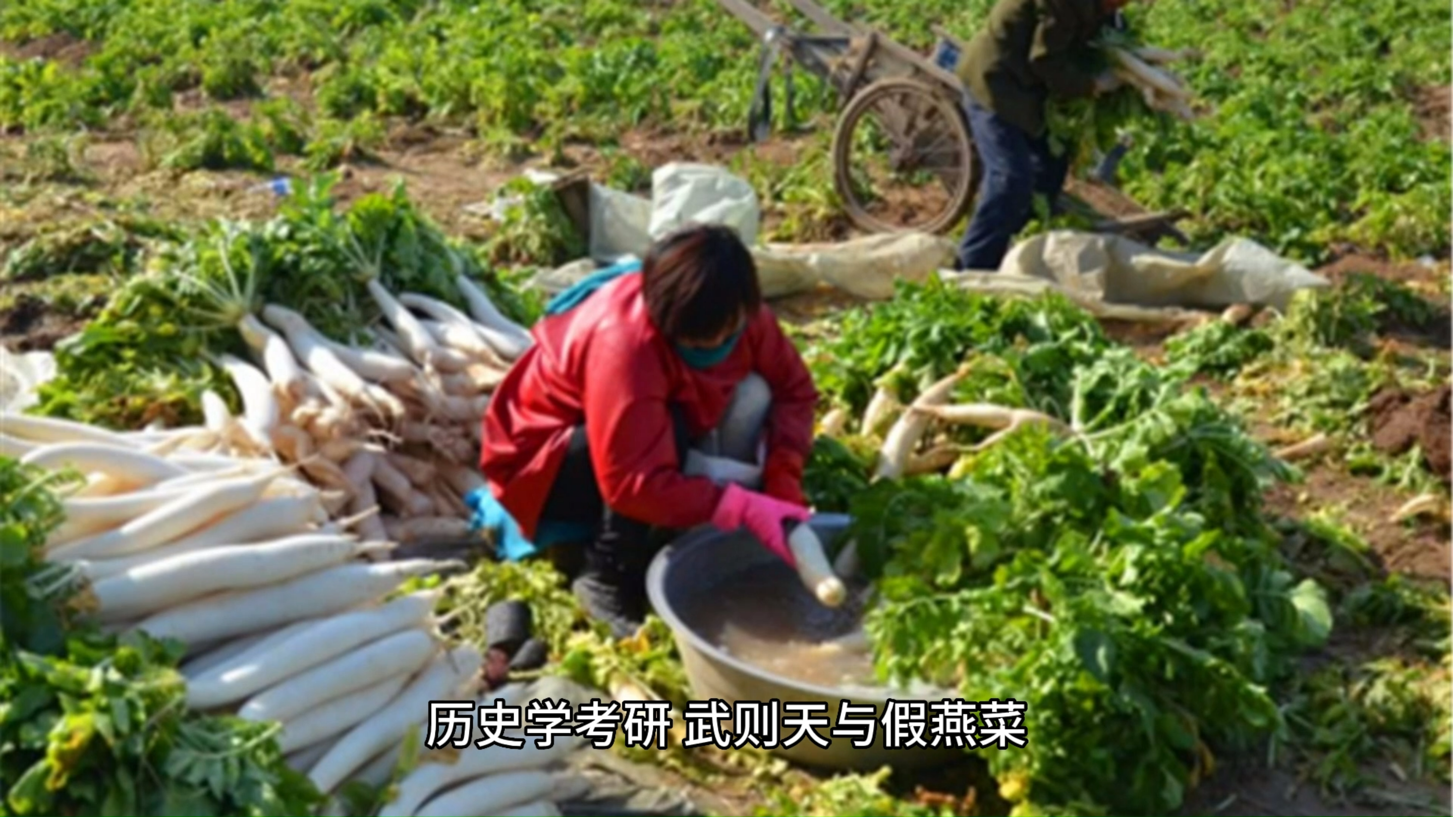 历史学考研,武则天与假燕菜