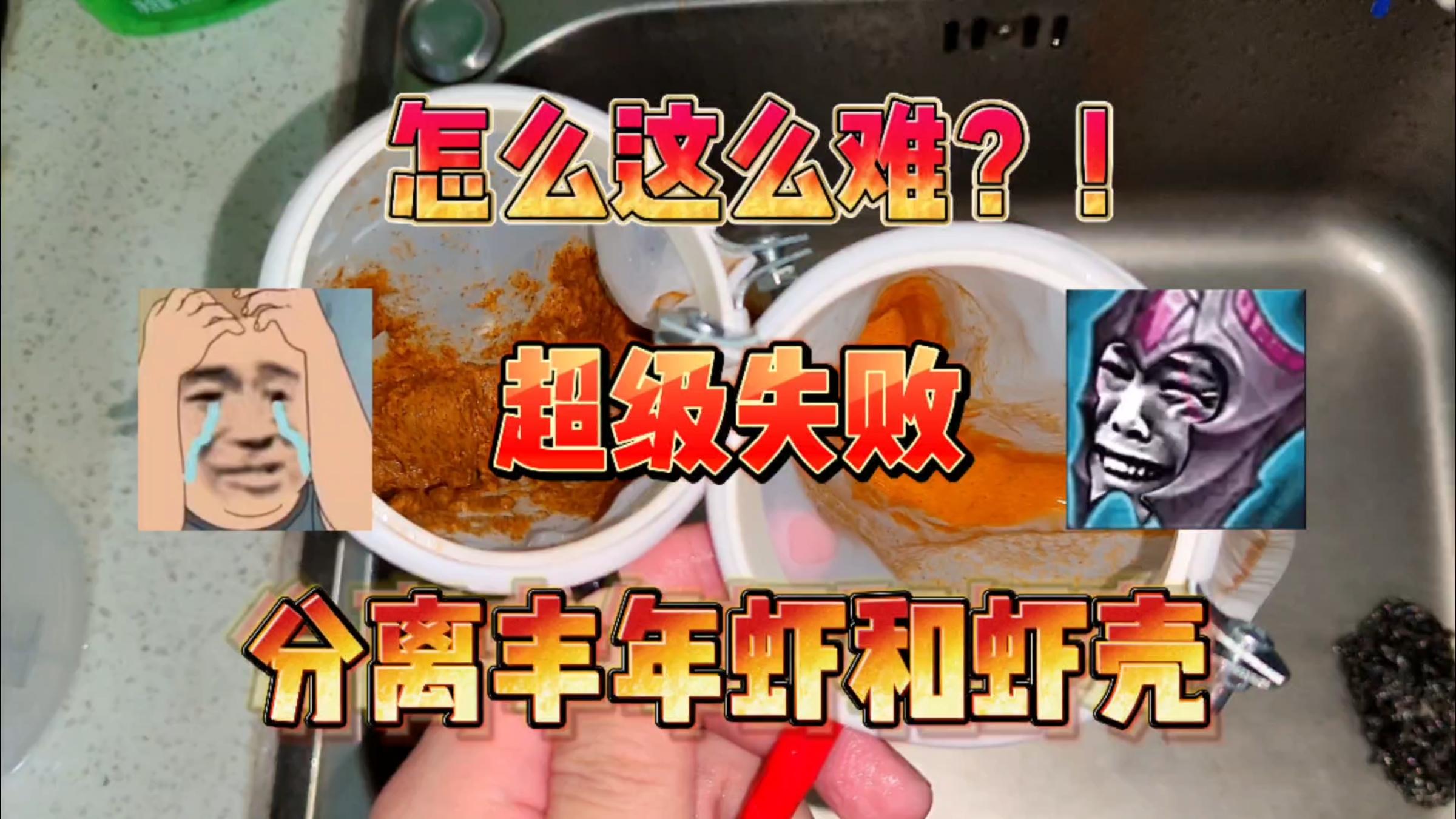 超级失败的一天!我被如何分离丰年虾和虾壳给整破防了!