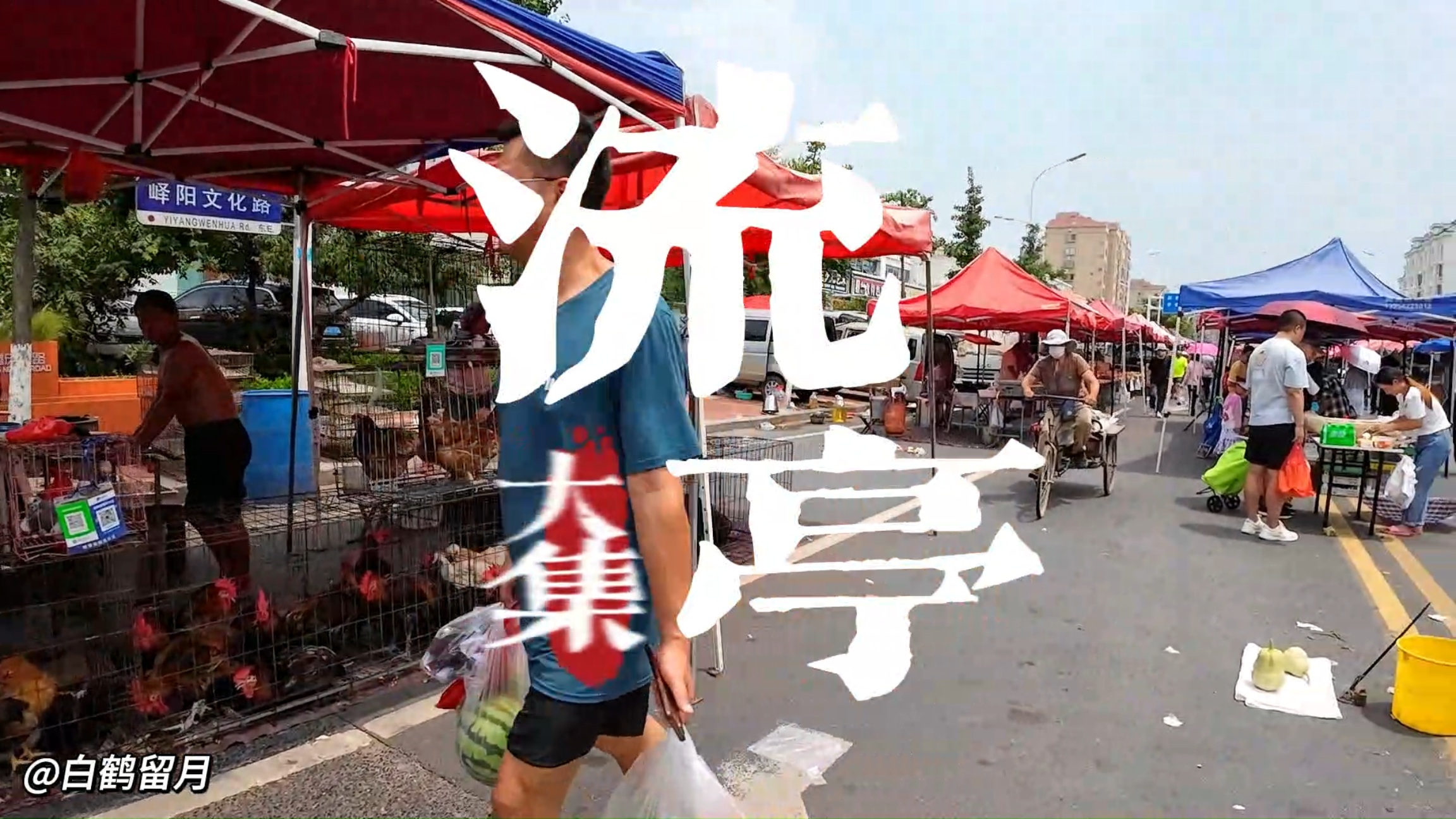 隐藏在青岛城阳444年历史“农村”流亭大集,让你实现水果自由