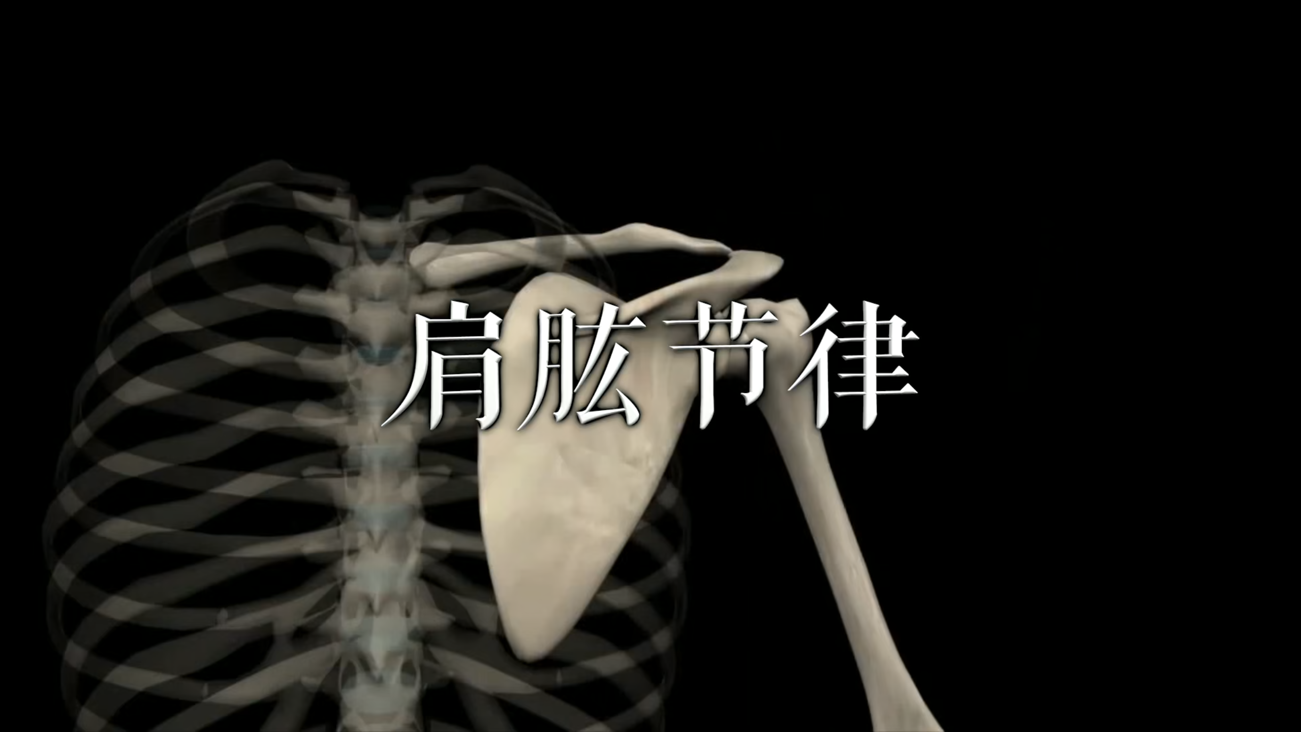 肌肉动作解剖|肩肱节律