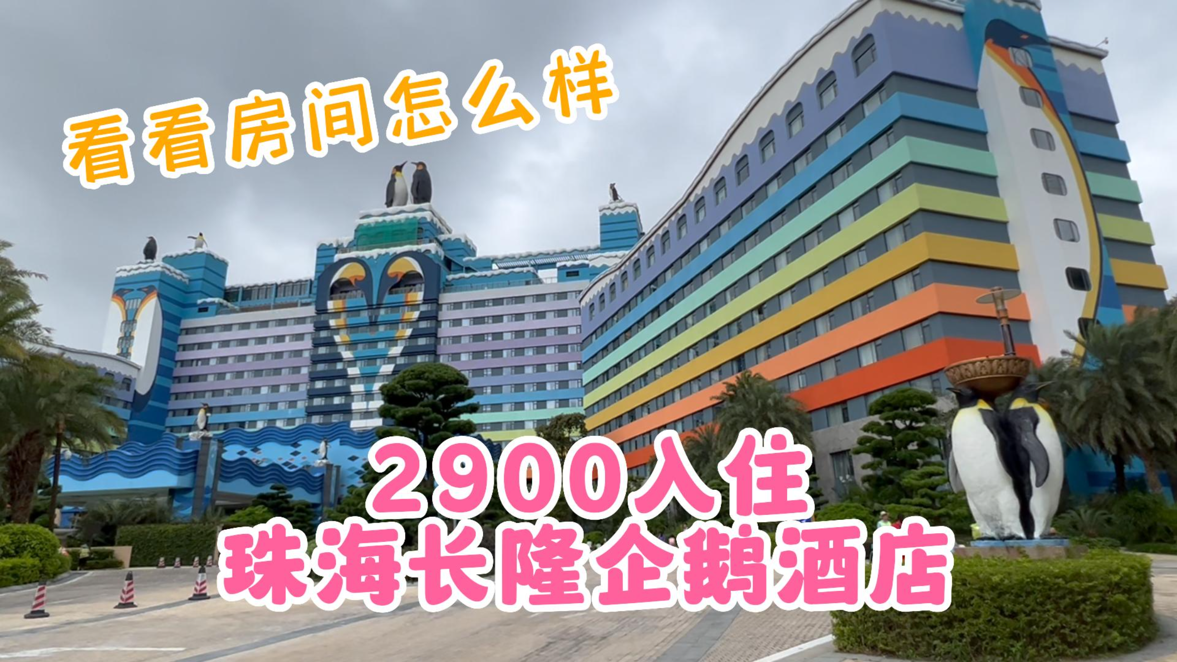 2900元入住珠海长隆企鹅酒店!企鹅家庭房和温带房!看看房间咋样