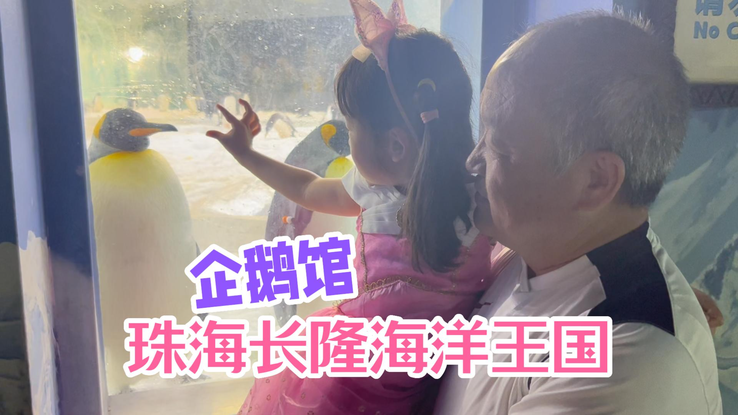 上百只企鹅在头顶川流不息!珠海长隆海洋王国企鹅馆!避暑好去处