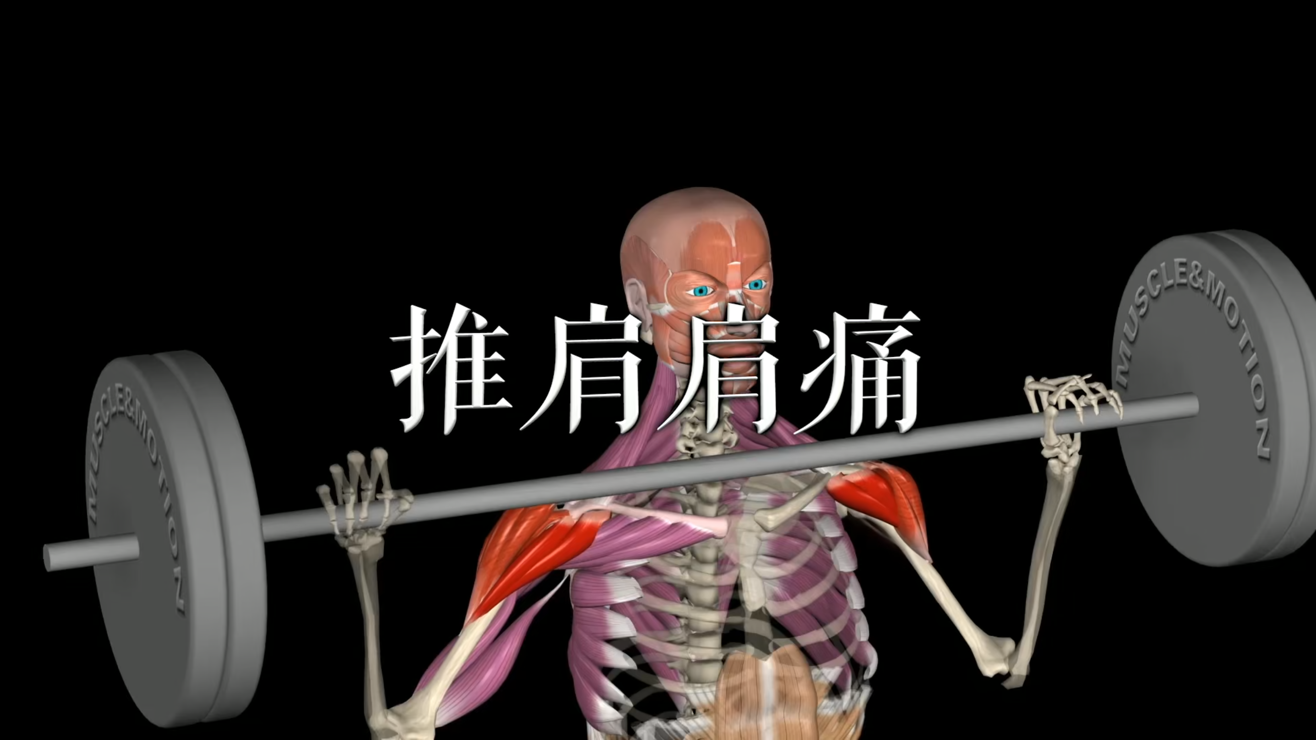 肌肉动作解剖|推肩肩痛