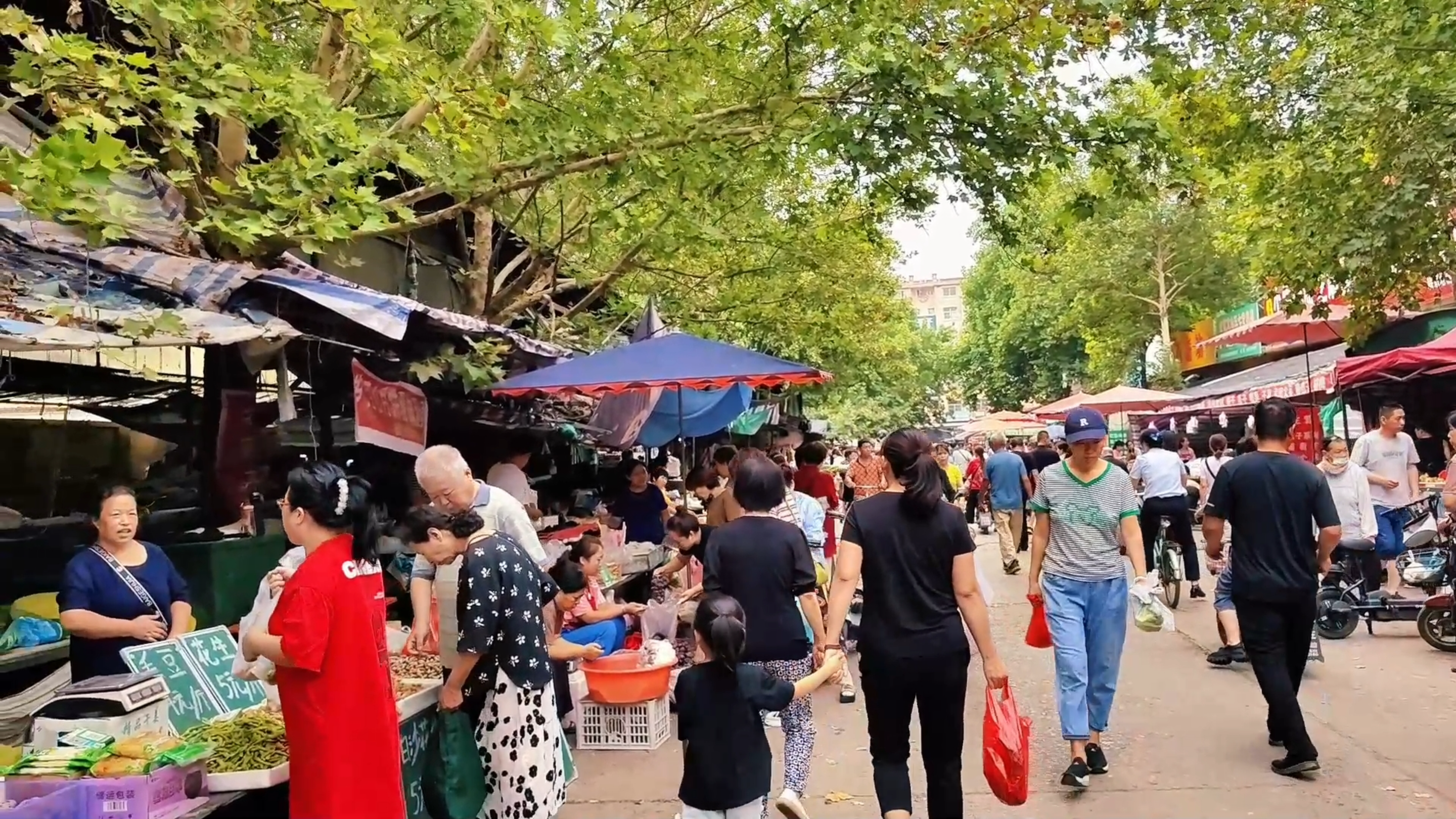 秋天给家人熬一锅乌鸡汤,鸡汤鲜香肉软烂,营养美味又好喝