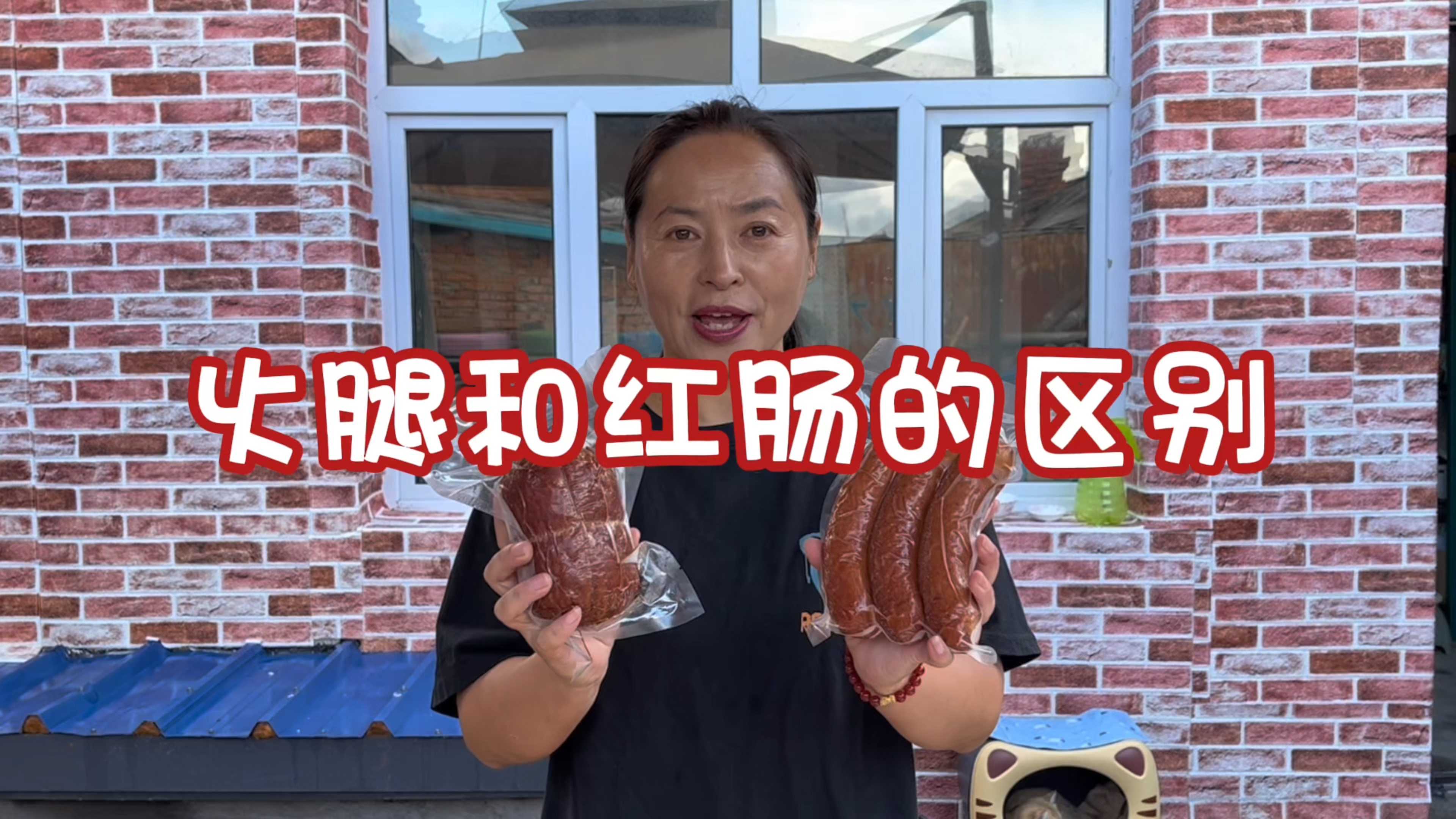 翠花家的两种肉灌制品红肠和火腿有什么不一样,外形区别就很大