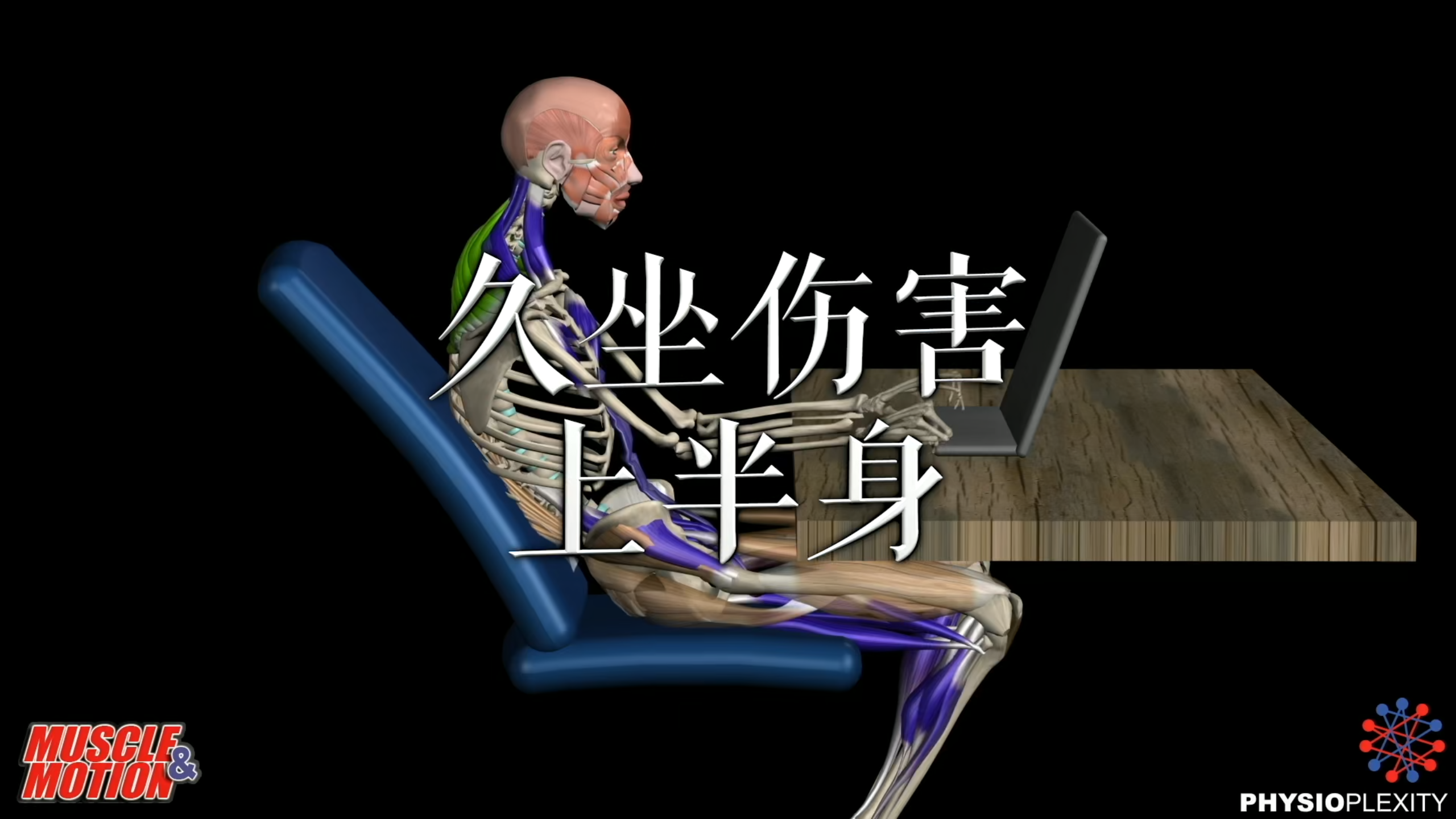 肌肉动作解剖|久坐伤害上半身