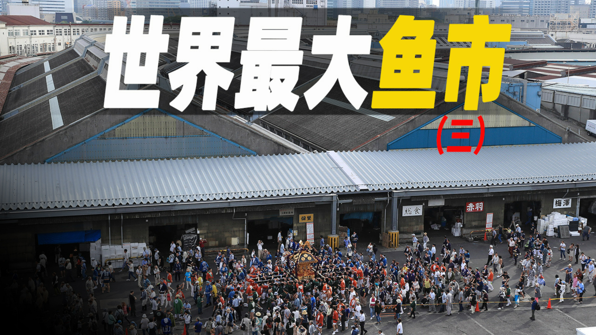 走进世界超级鱼市场,每天卖出1700吨鱼货,金枪鱼的价值有多珍贵