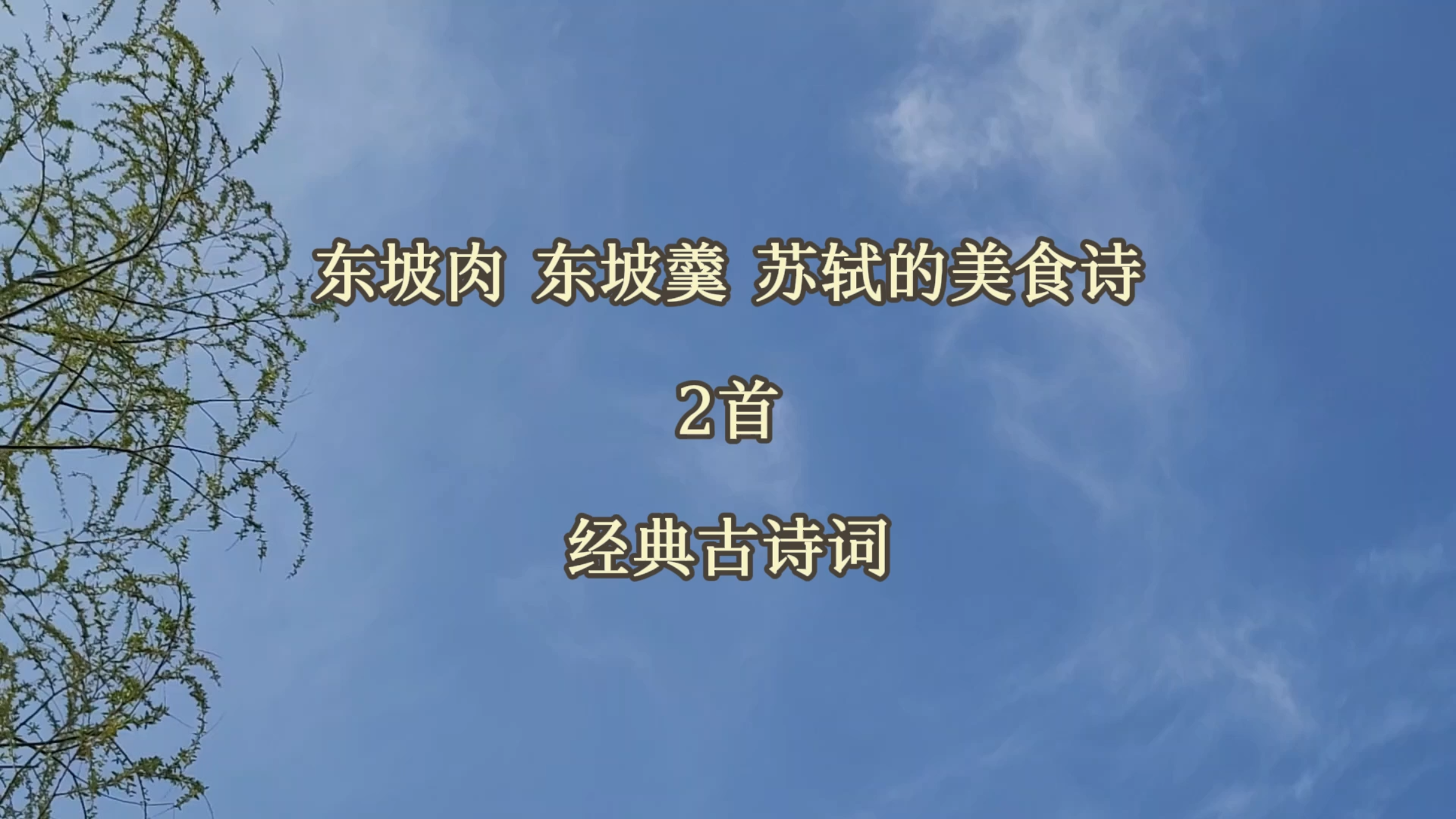东坡肉 东坡羹 苏轼的美食诗:2首经典古诗词