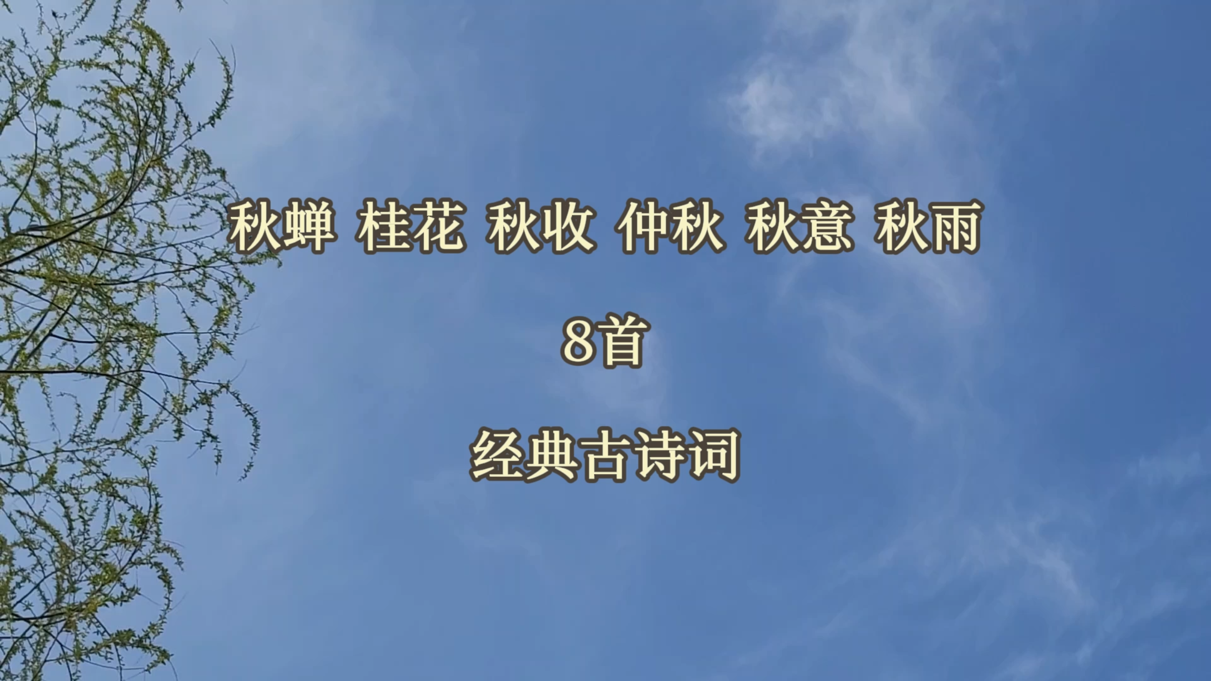 8首经典古诗词:秋蝉 桂花 秋收 仲秋 秋意 秋雨