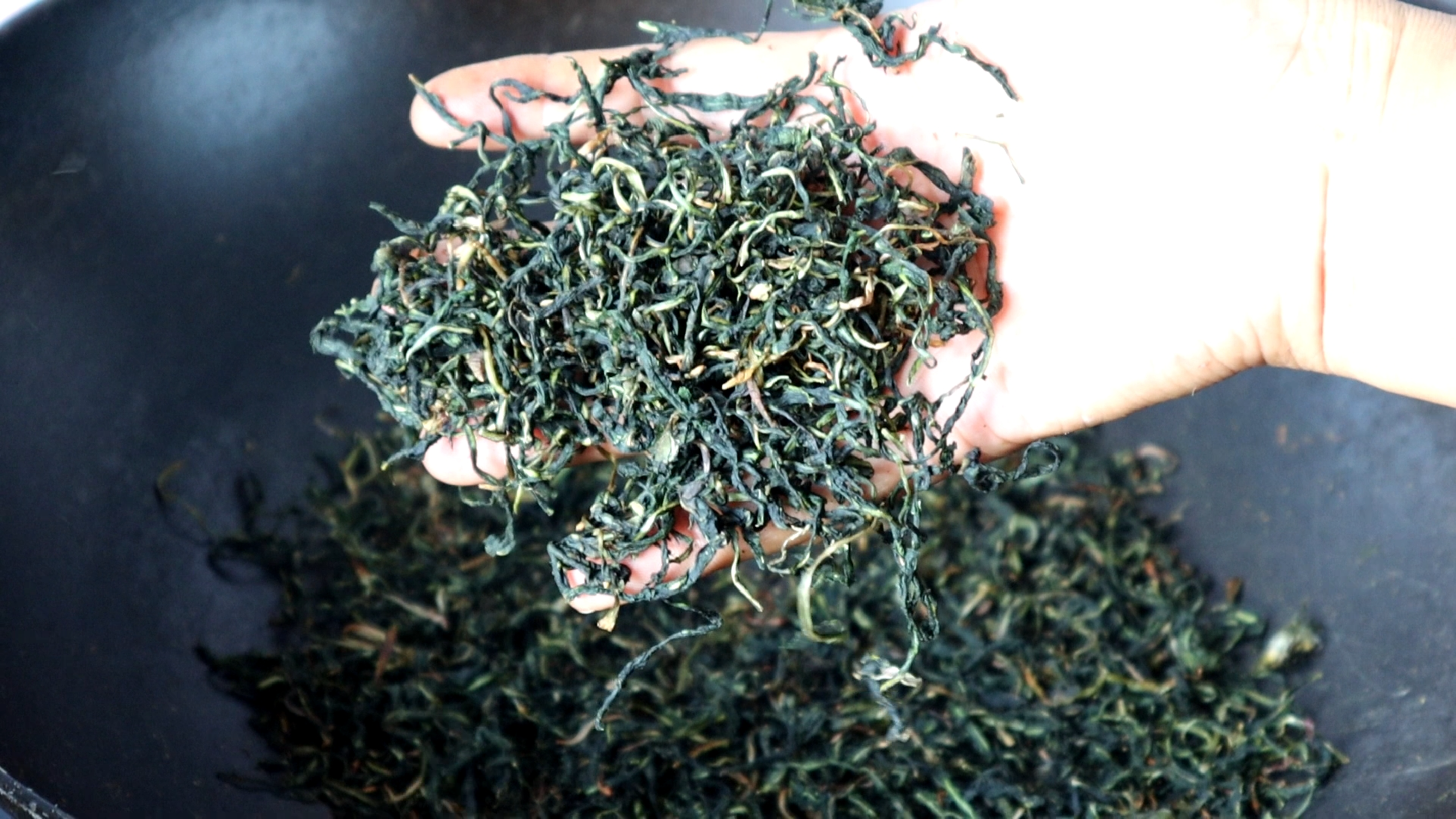 蒲公英茶的制作方法，茶香味浓郁，不苦不涩，做法超简单