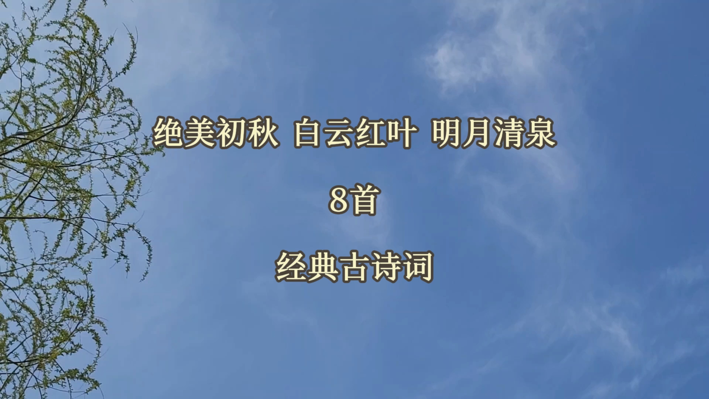 绝美初秋 白云红叶 明月清泉:8首经典古诗词