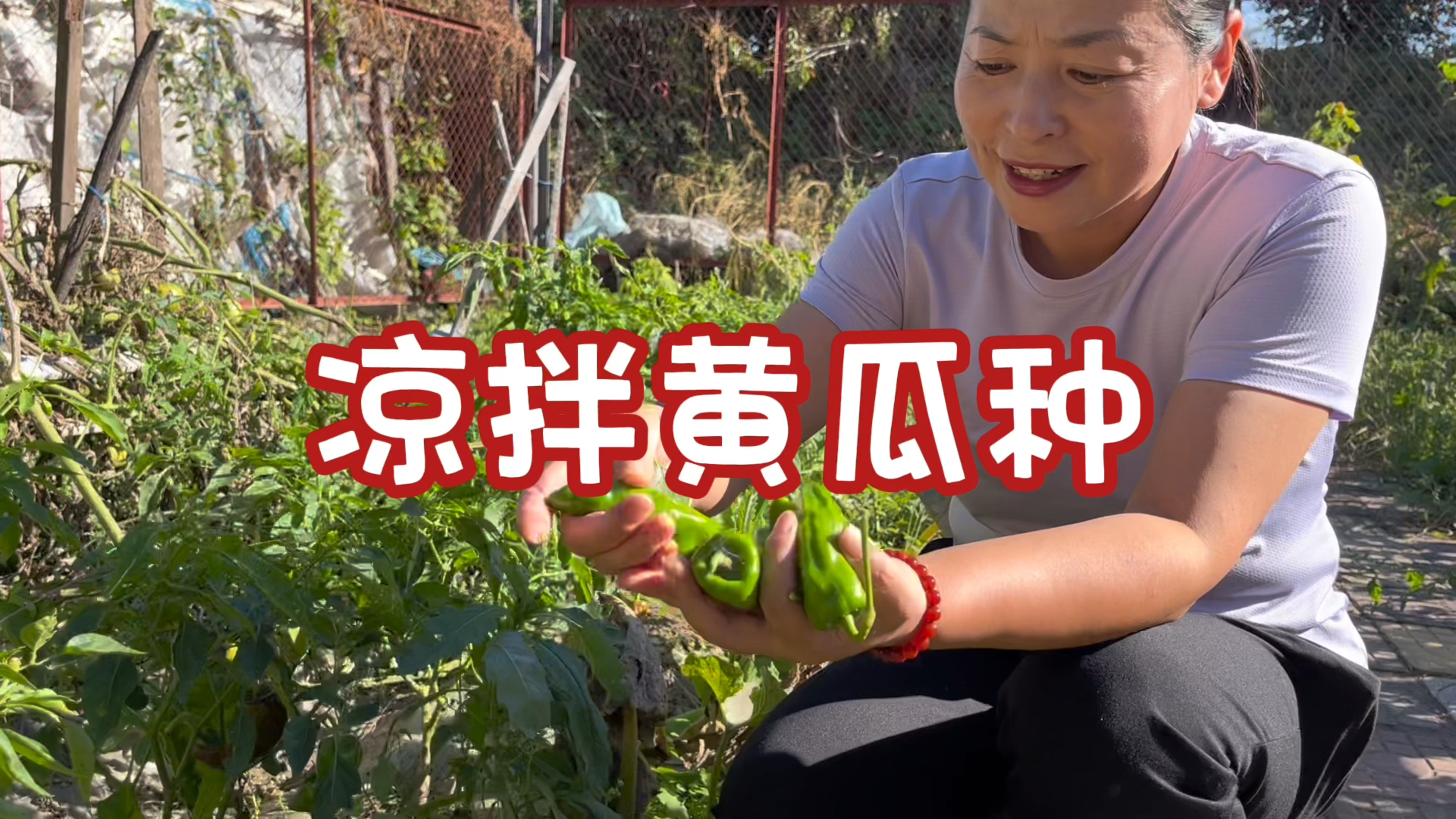 在农村黄瓜老了怎么吃,东北媳妇做凉拌黄瓜种,酸溜溜开胃没负担