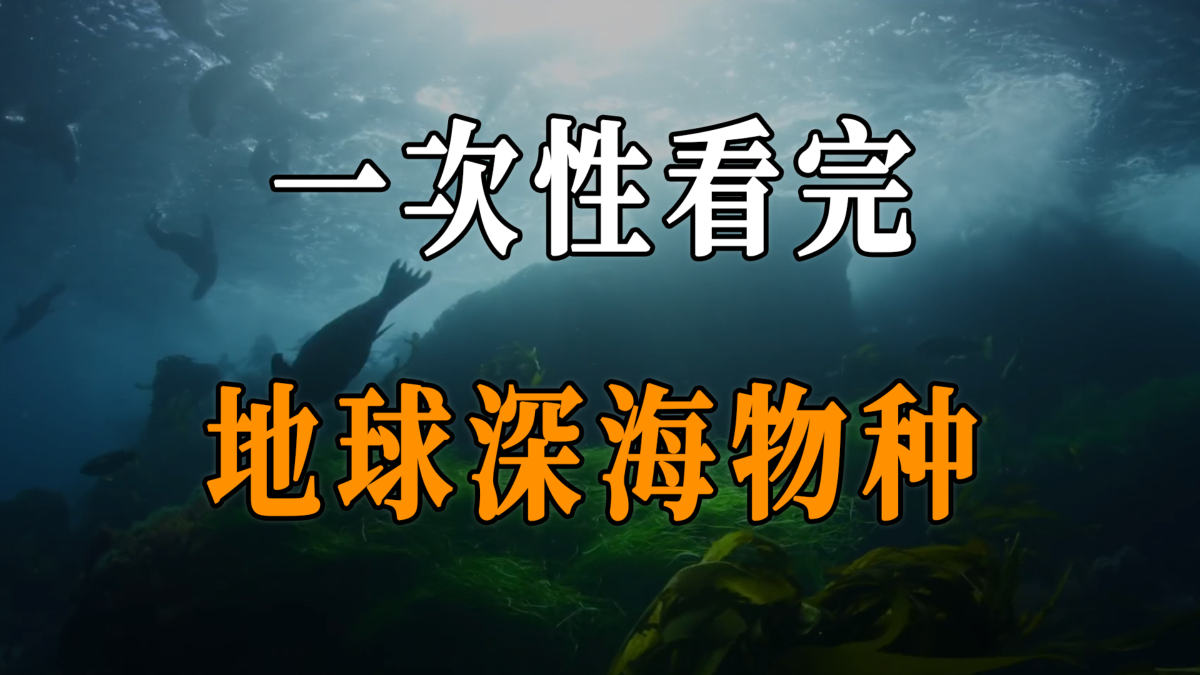 海洋不同深度的生物都有哪些？