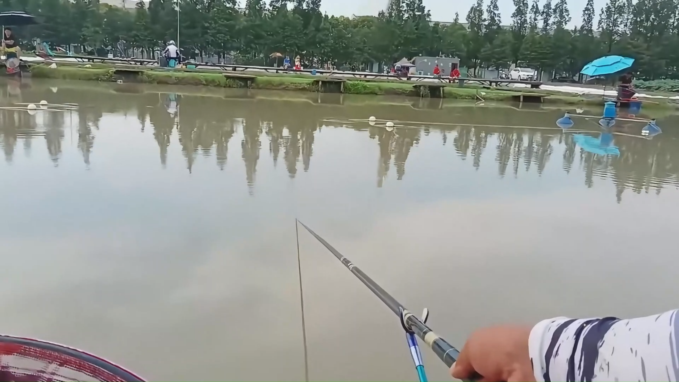 拉酒米很简单,黑坑钓鱼有口打不中怎么办,小鱼多滑鱼涮口好办法