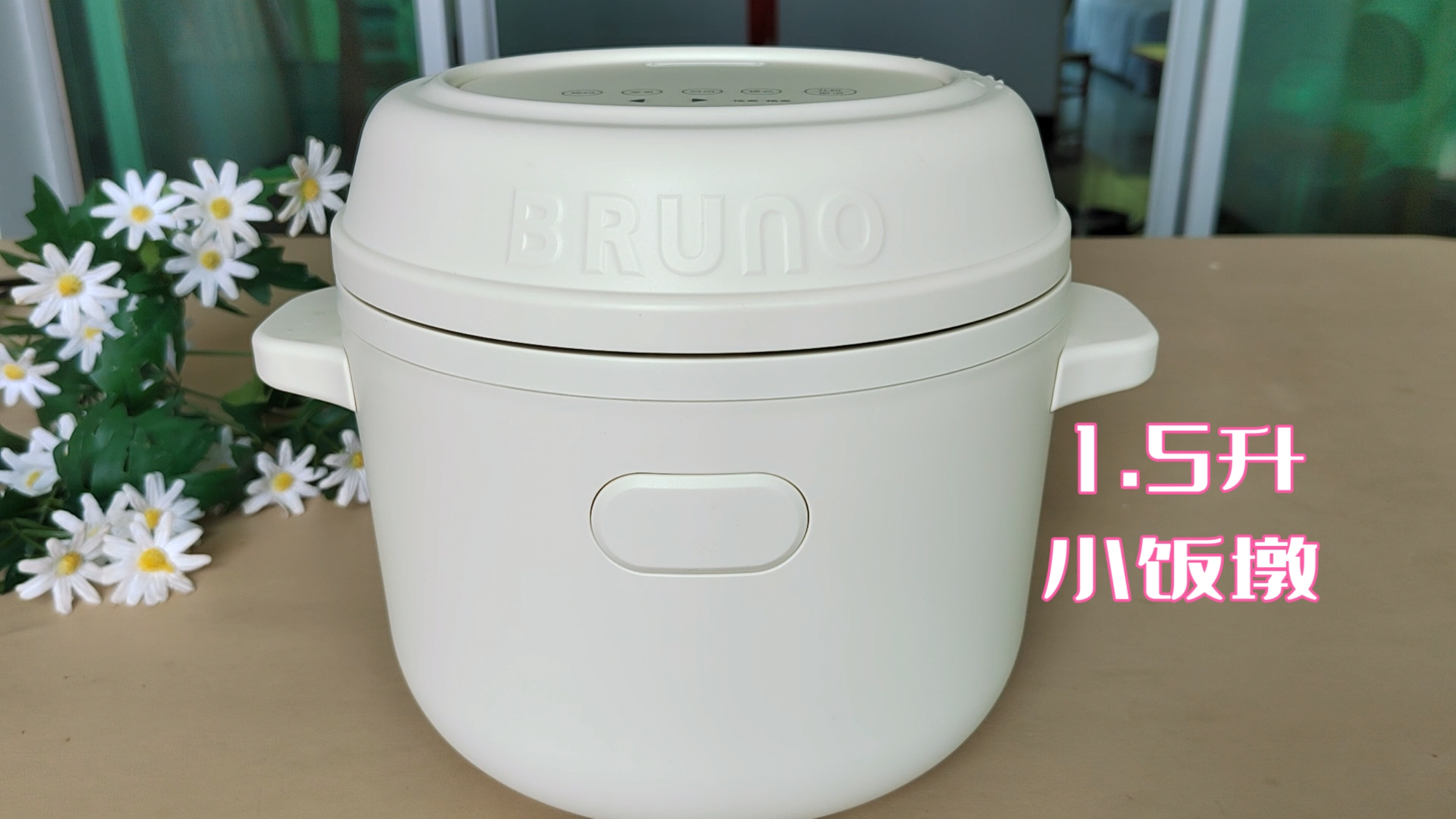 想要小饭煲的看看Bruno这个,很适合1-3人,微压焖煮,小巧实用