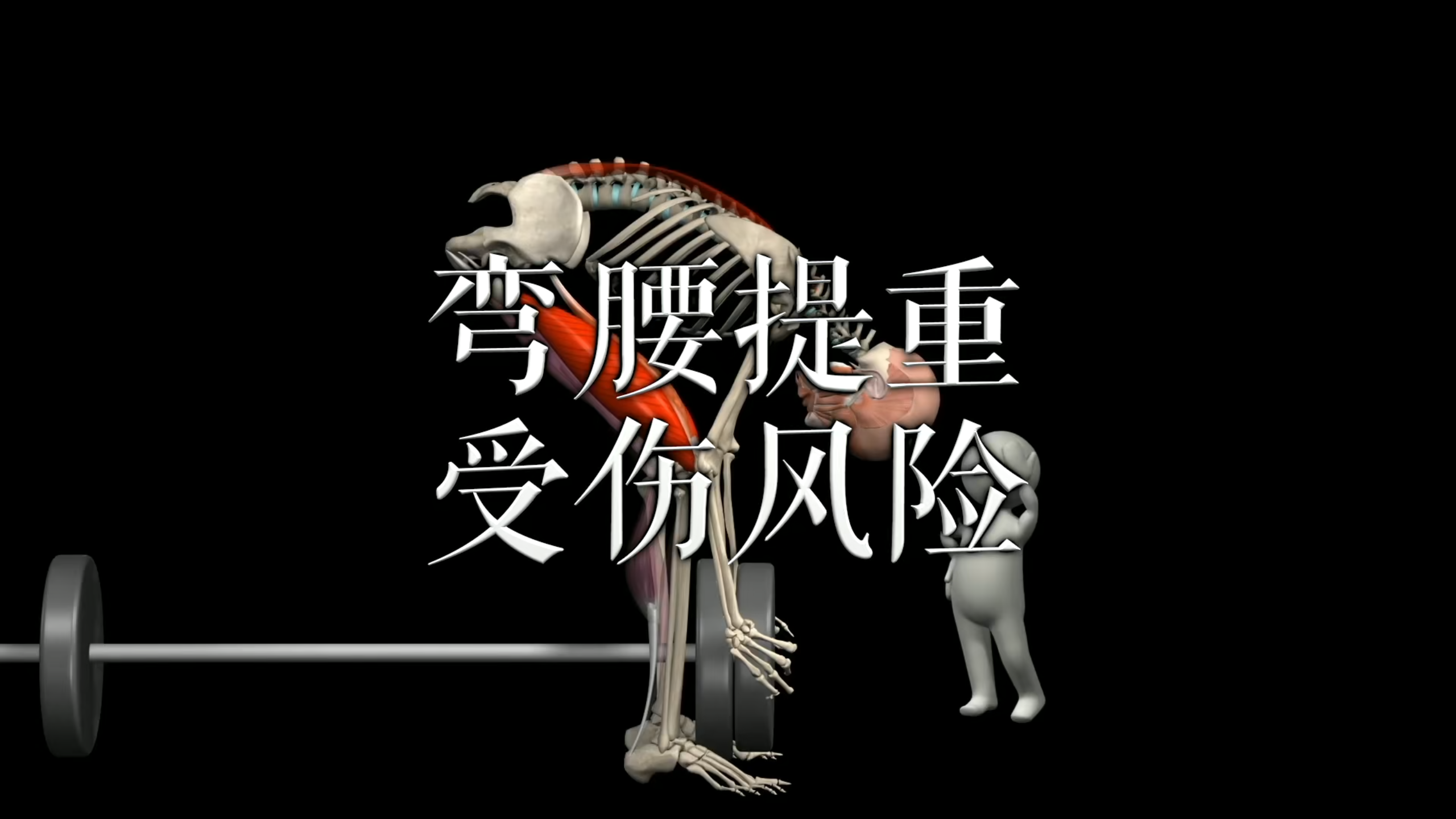 肌肉动作解剖|弯腰提重受伤风险
