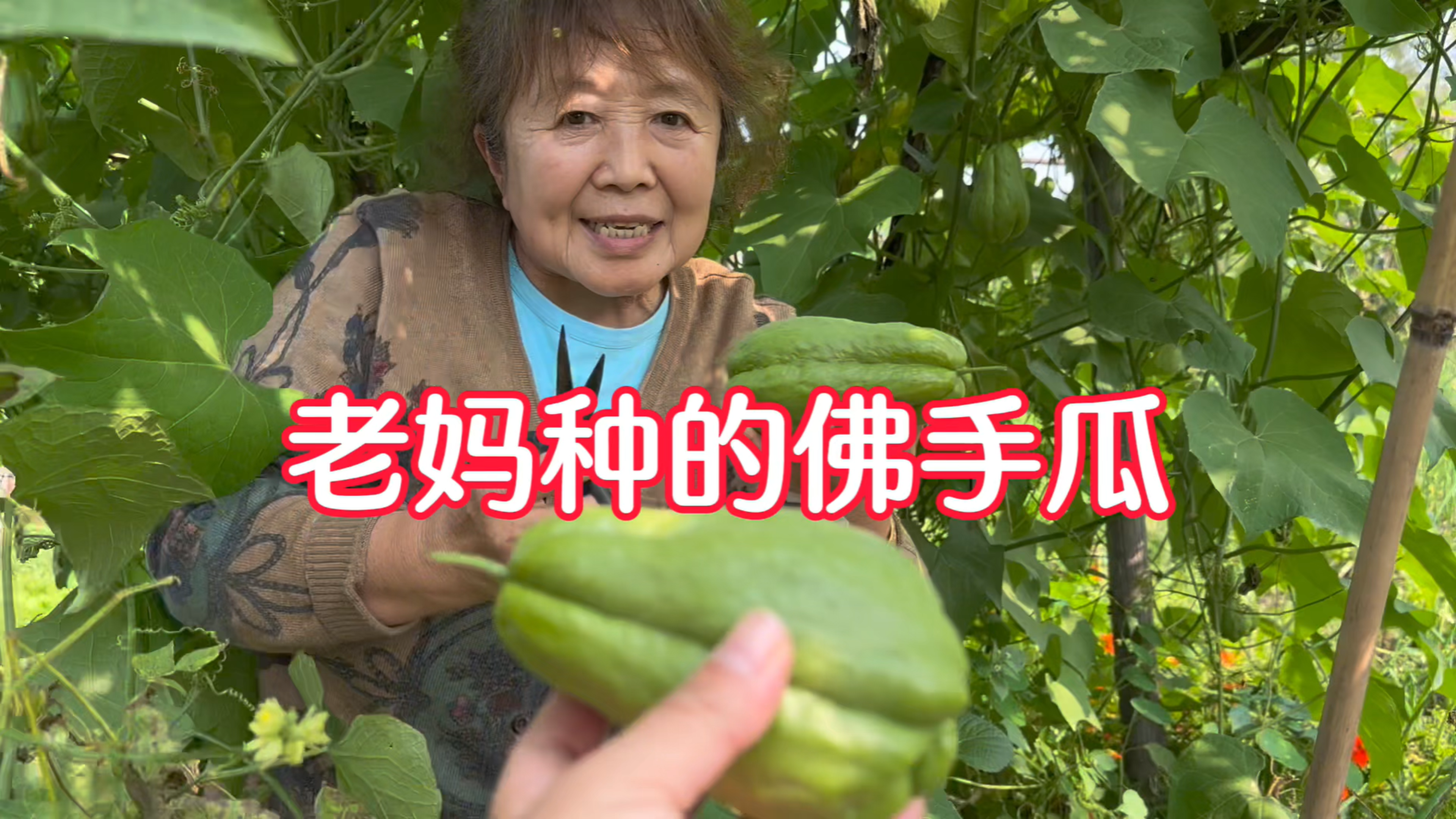 东北农村小院大丰收,翠花做一桌子菜庆祝,这起泡豆角做的喜庆