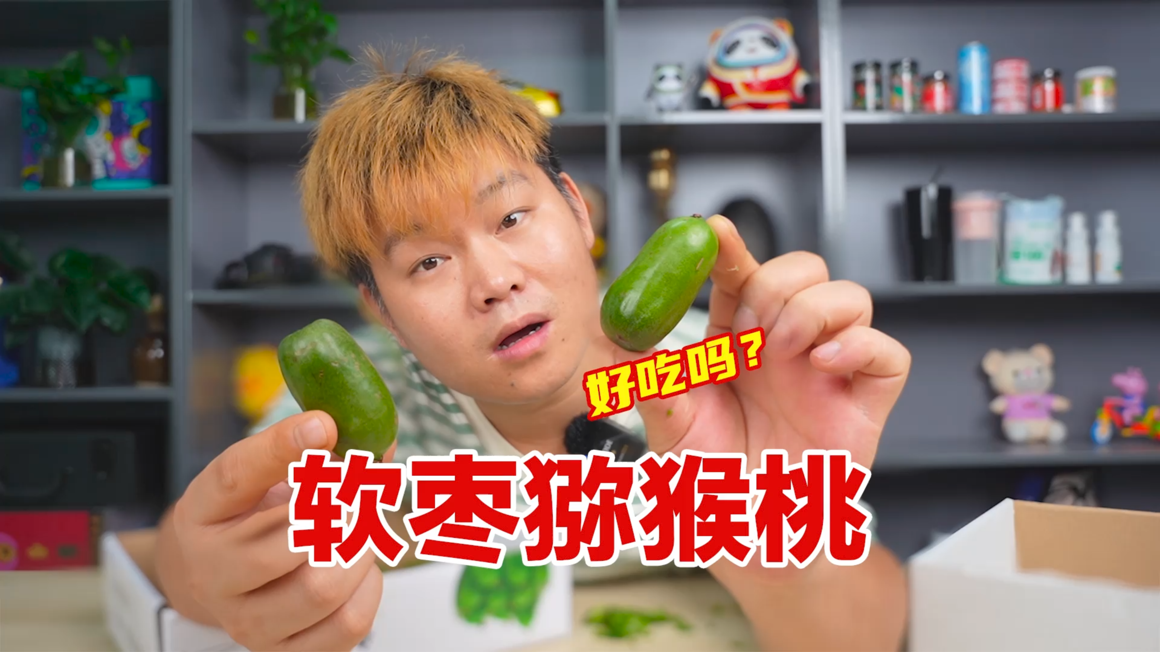 试吃东北软枣猕猴桃,到底是枣子还是猕猴桃呢?