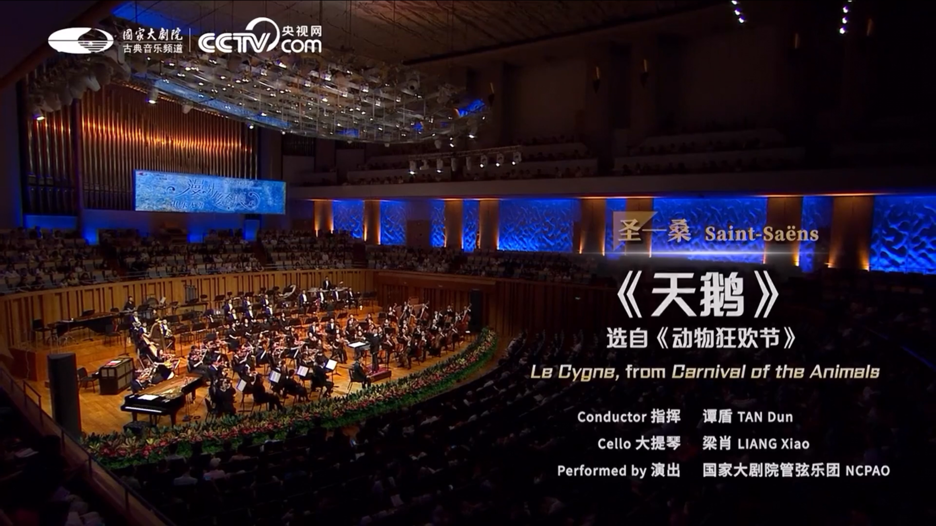 国家大剧院“华彩秋韵”系列演出剧目——圣桑《天鹅》令人陶醉。