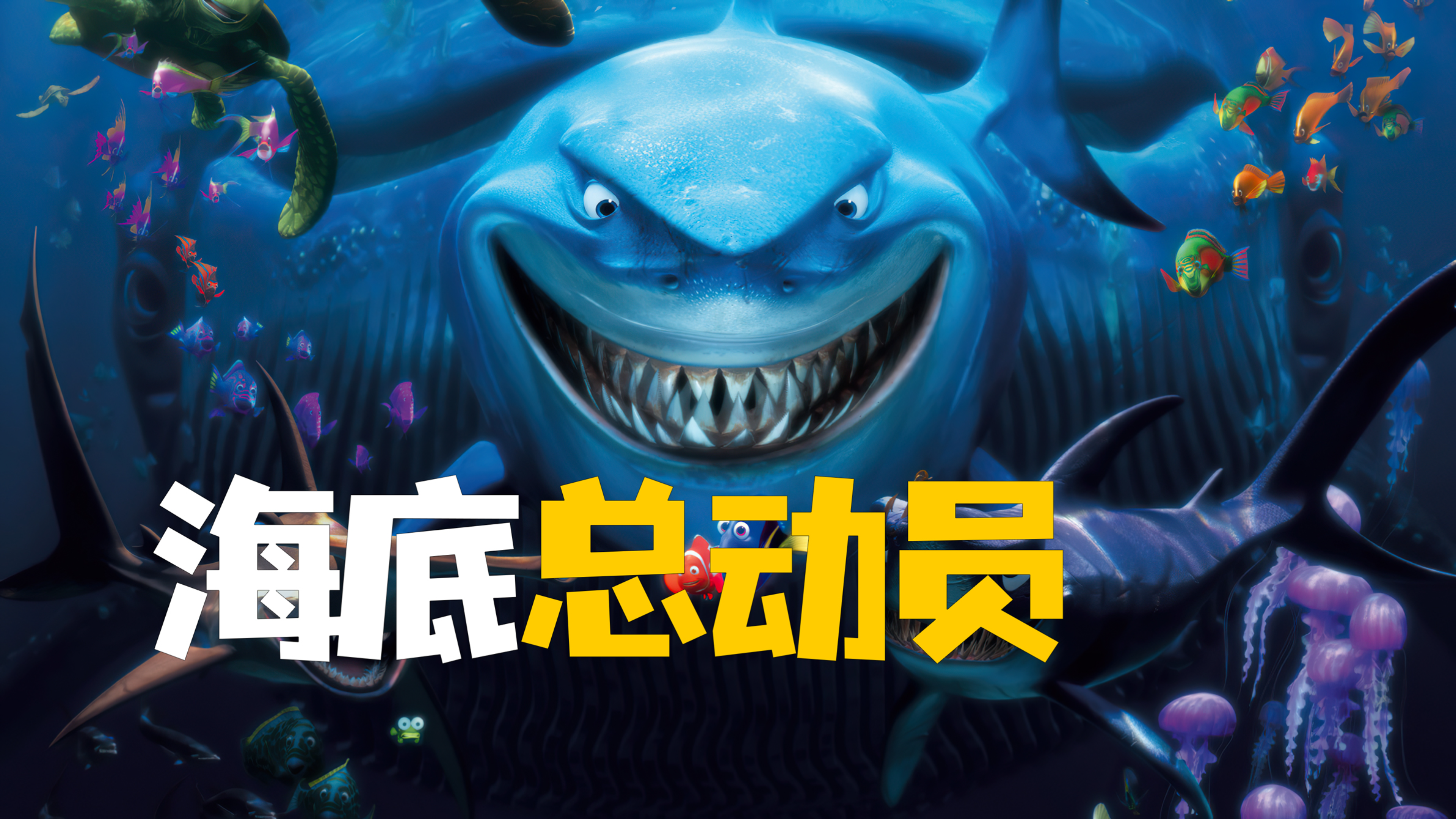 小丑鱼不慎被人类抓到 结识了一群有情有义的同伴《海底总动员》