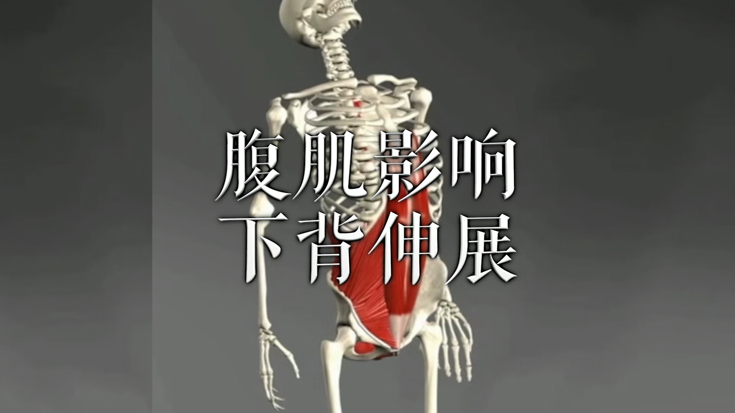 肌肉动作解剖|腹肌影响下背伸展