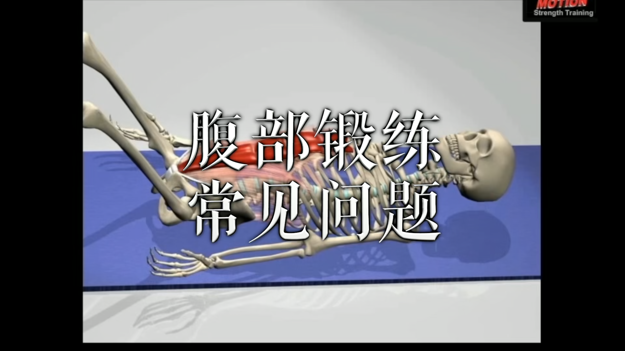 肌肉动作解剖|腹部锻练 常见问题