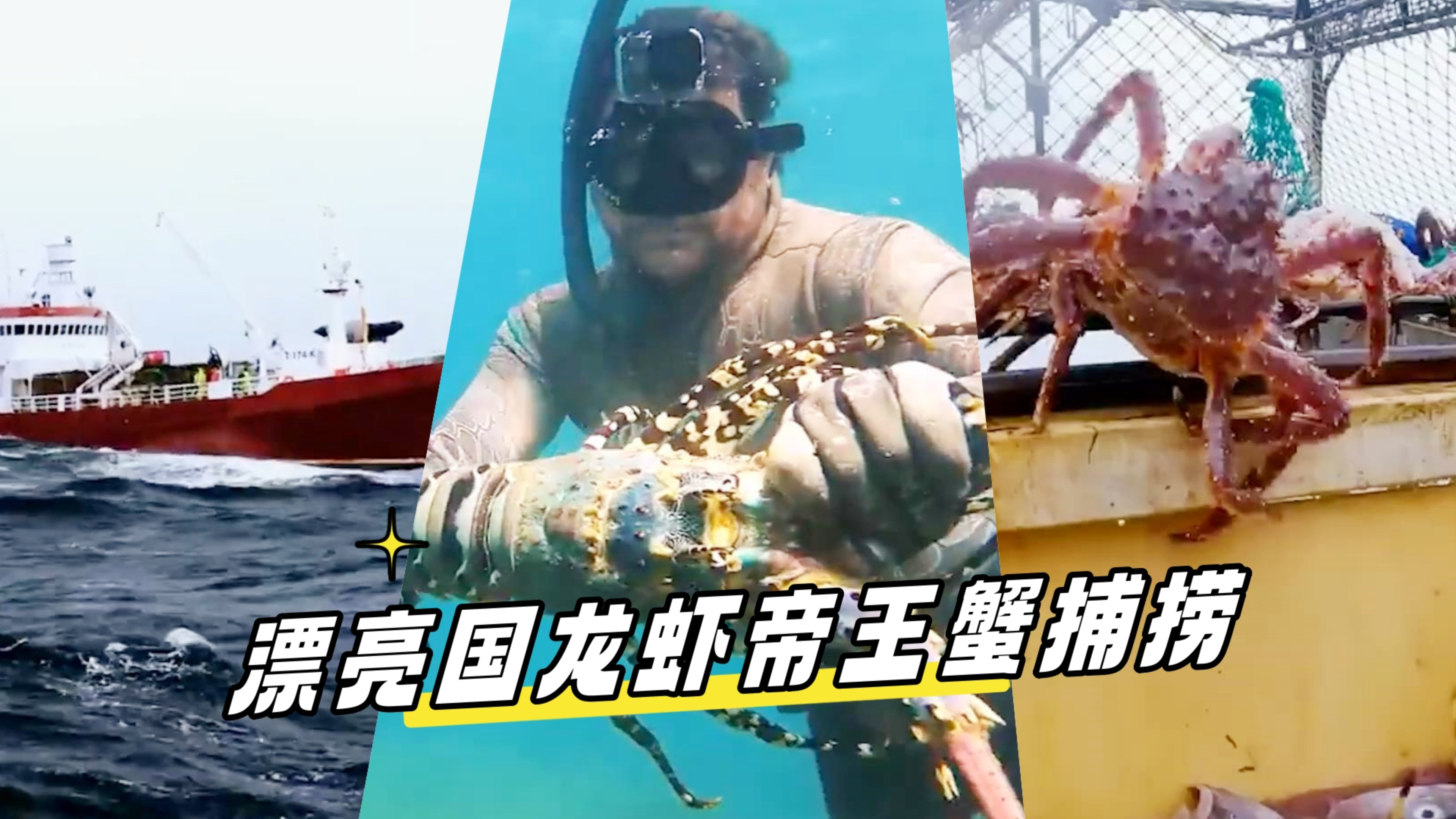 【渔业生产】漂亮国龙虾和帝王蟹捕捞介绍